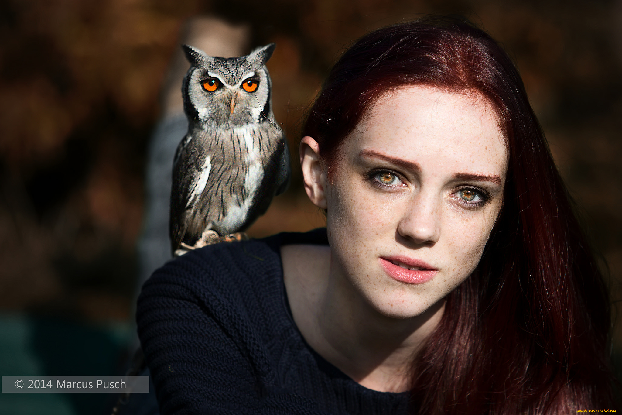 девушки, -unsort, , лица, , портреты, сова, взгляд, девушка, лицо