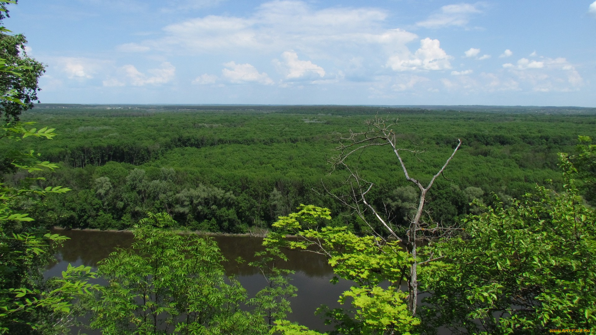 природа, пейзажи, облака, лес, небо, река