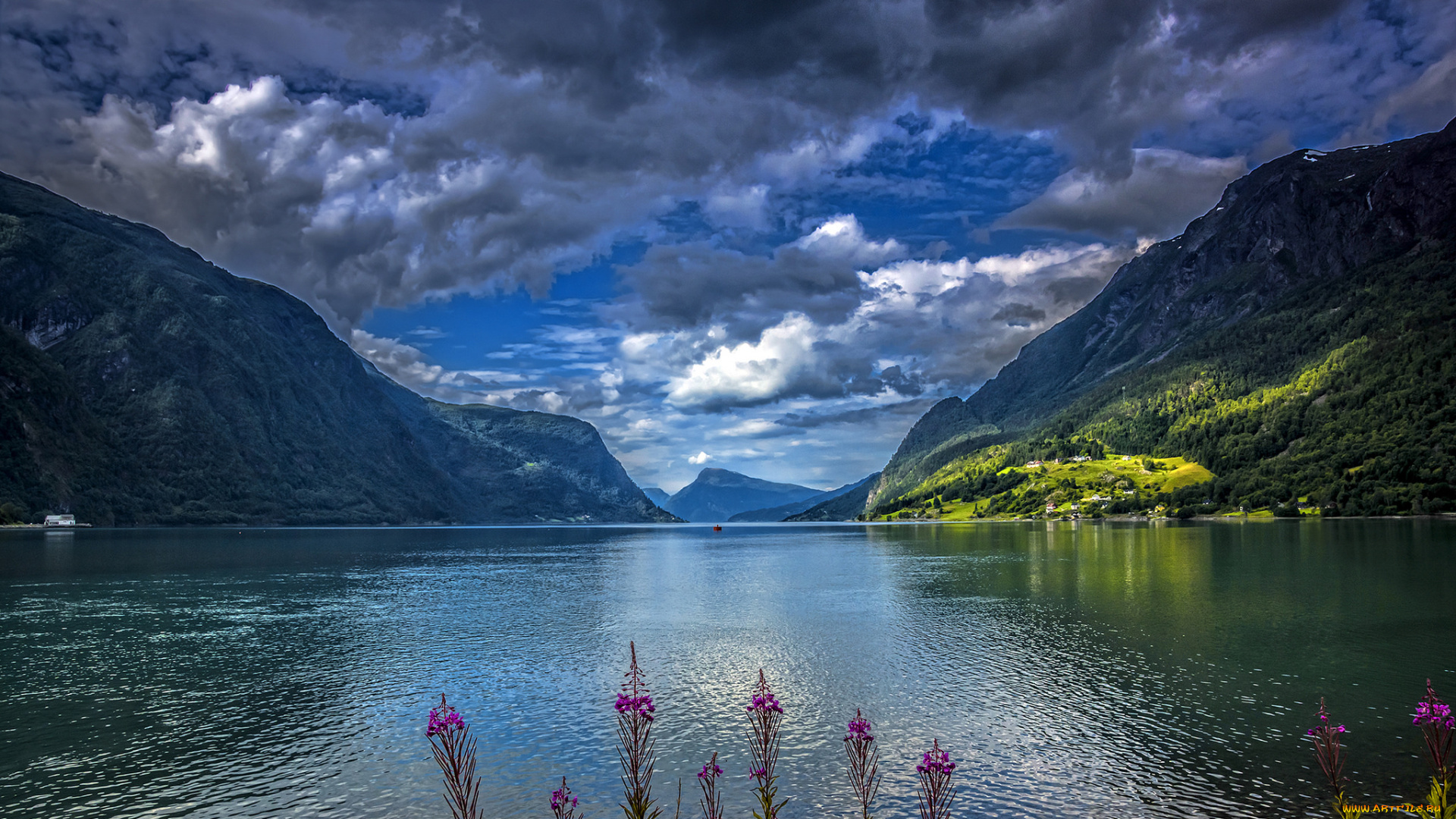 природа, реки, озера, река, лес