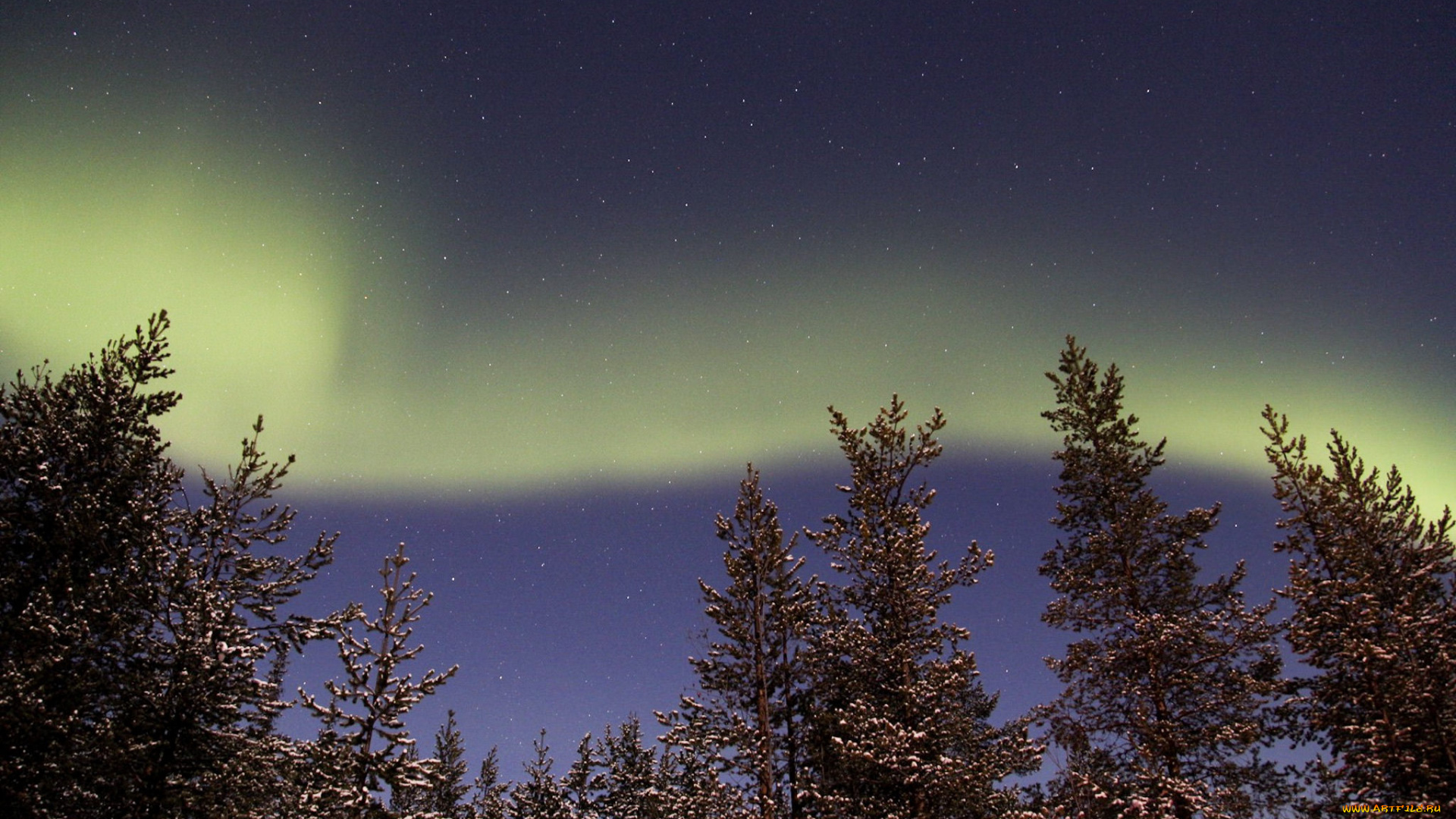 природа, северное, сияние, сполохи