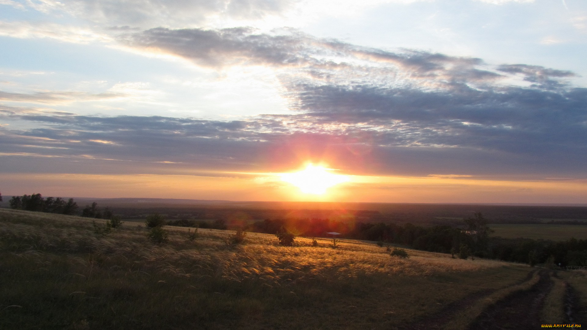 природа, восходы, закаты, закат, трава, ковыль, тропа