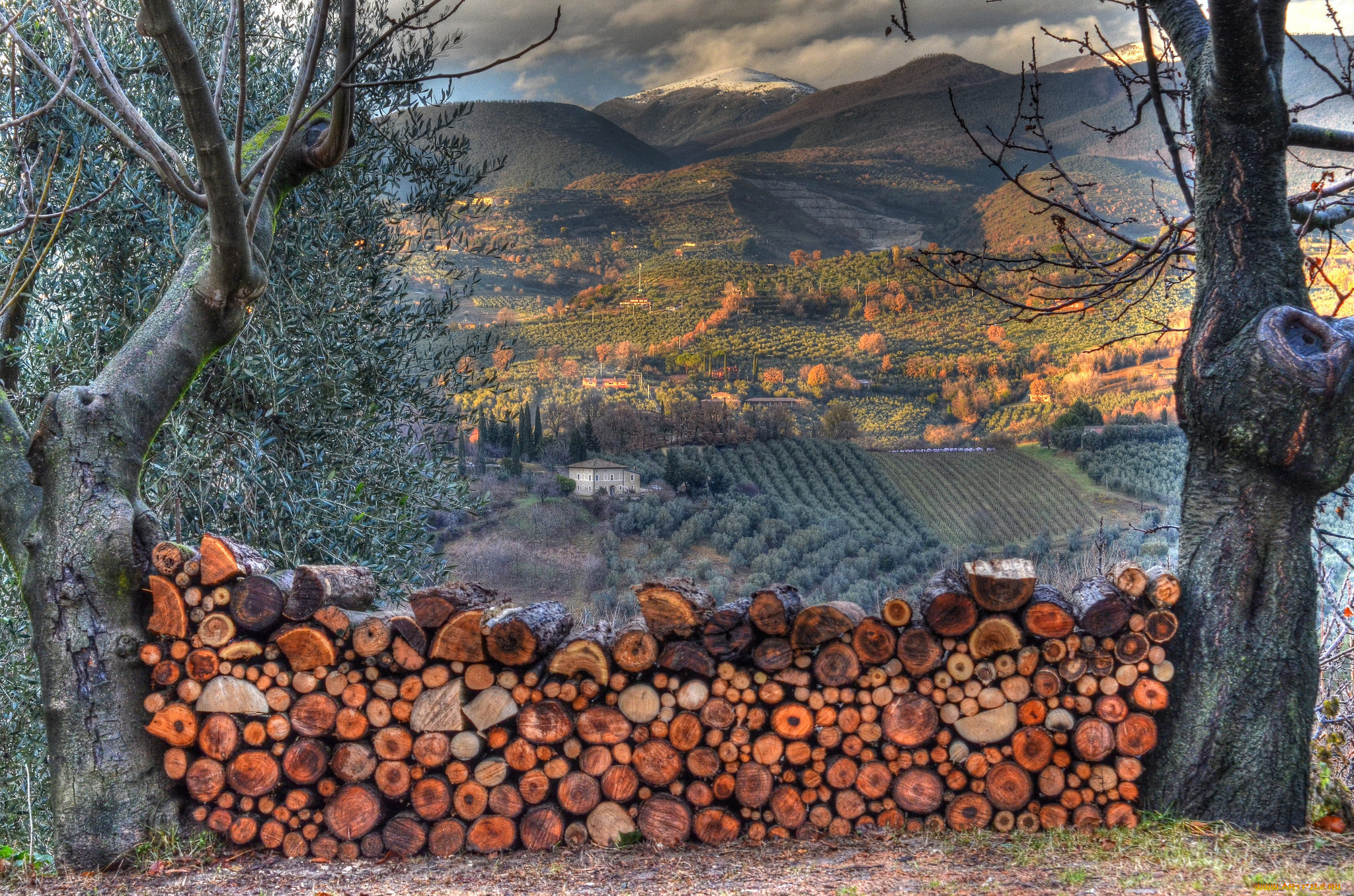 природа, пейзажи, простор