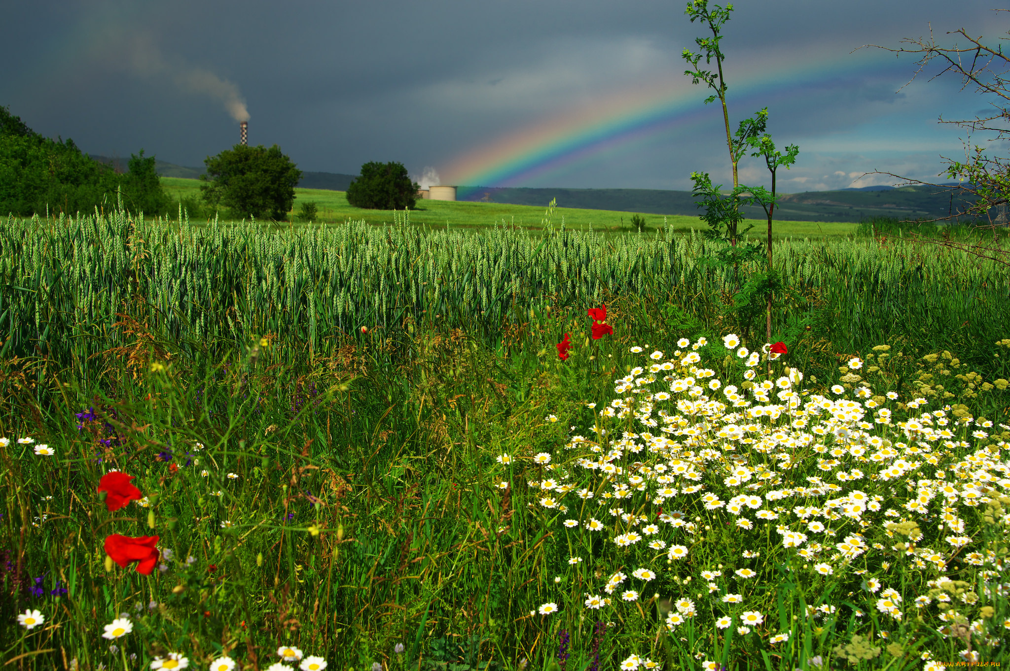 природа, радуга, простор