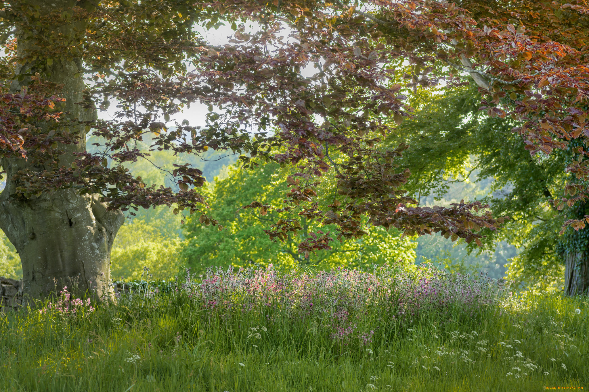 природа, пейзажи, простор