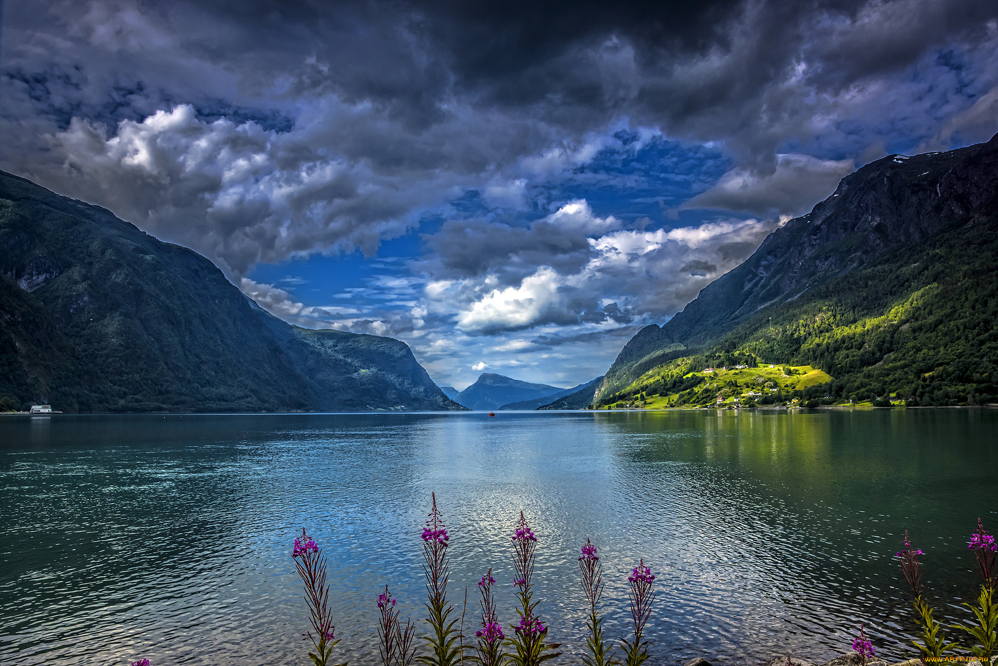 природа, реки, озера, река, лес