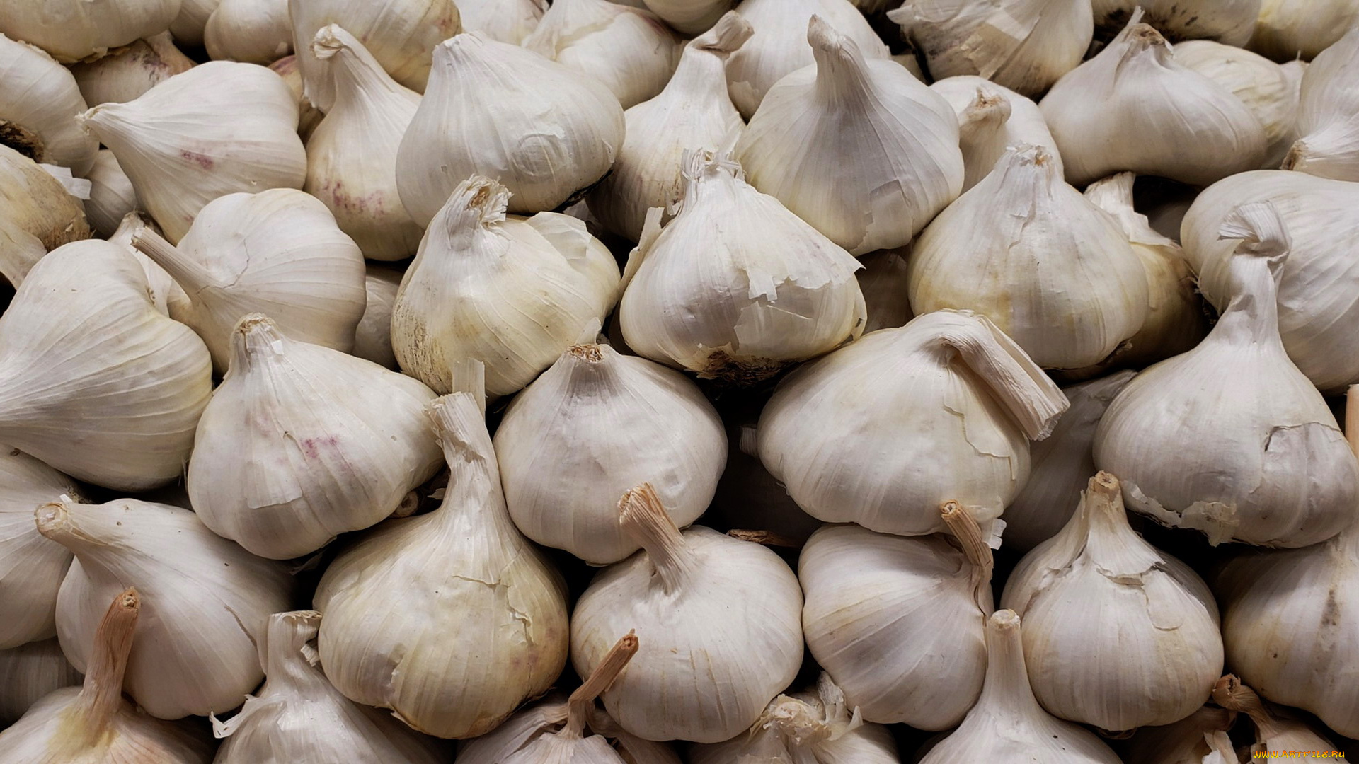 еда, чеснок