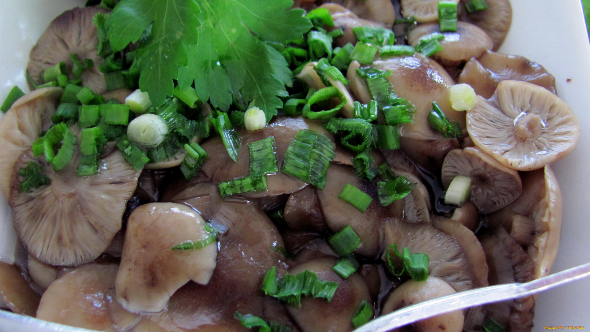 еда, грибы, , грибные, блюда, опята, маринованные