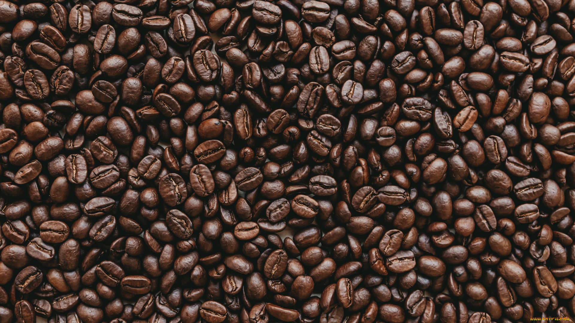 еда, кофе, , кофейные, зёрна