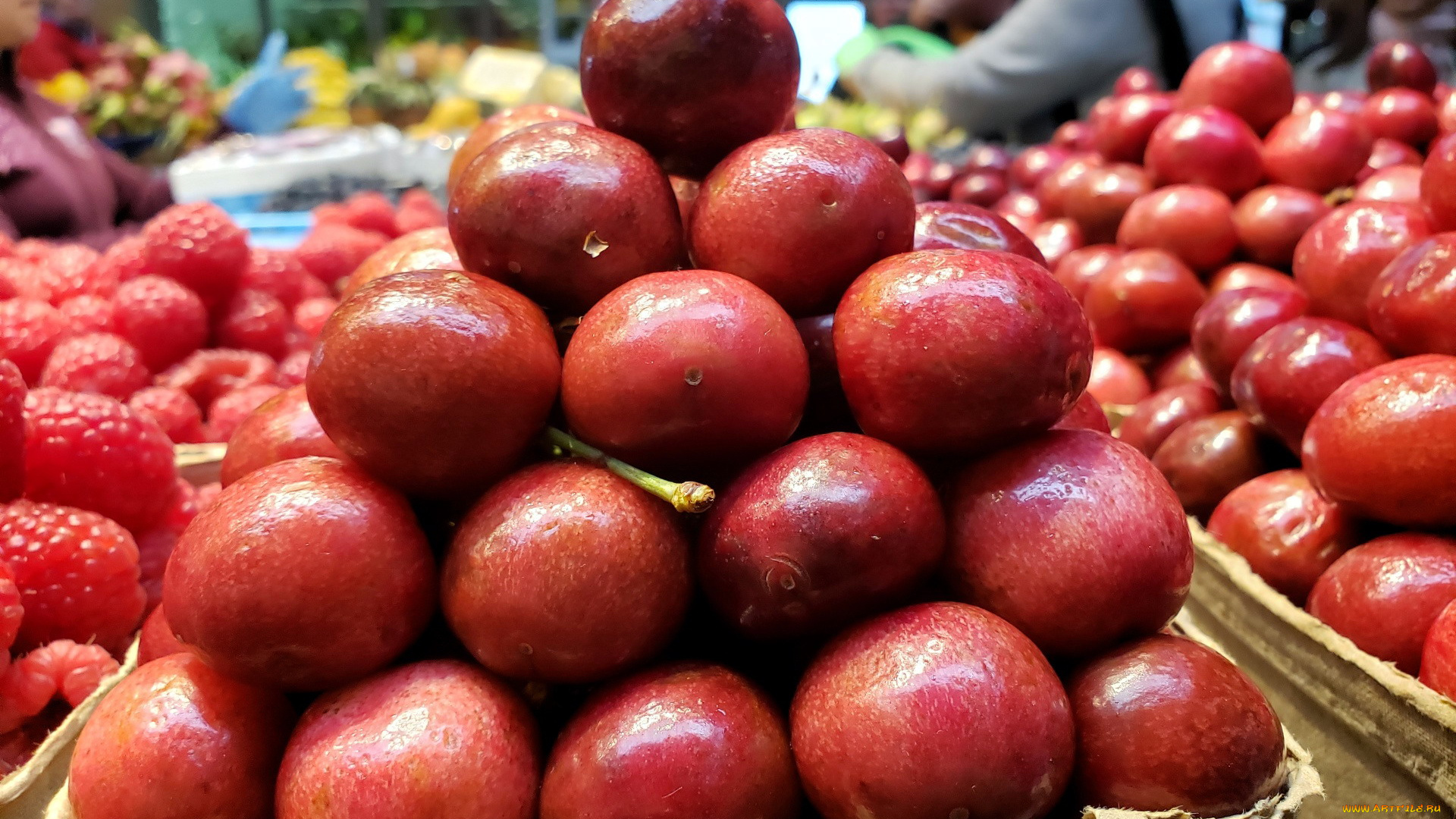 еда, вишня, , черешня