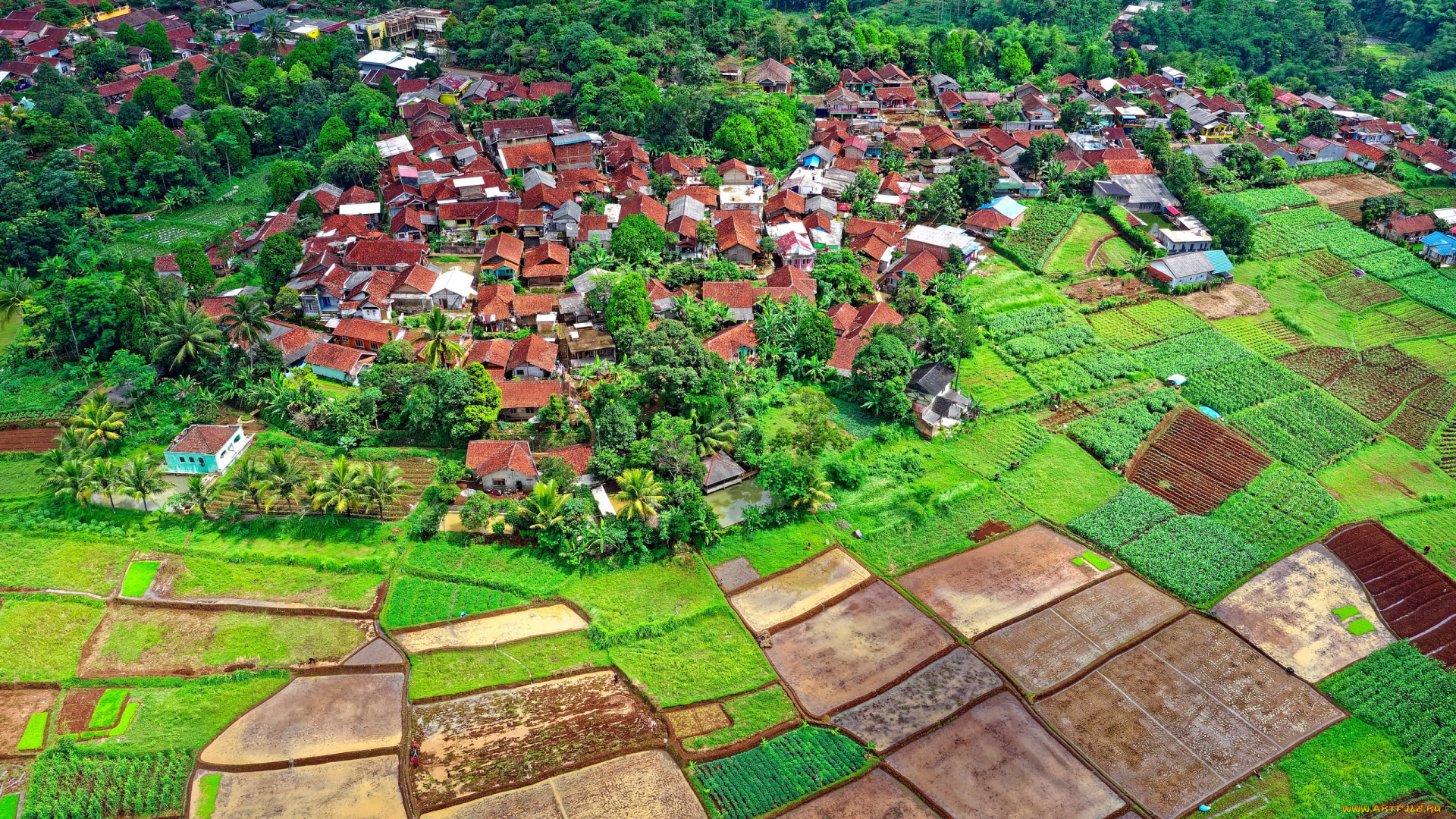 города, -, панорамы, панорама