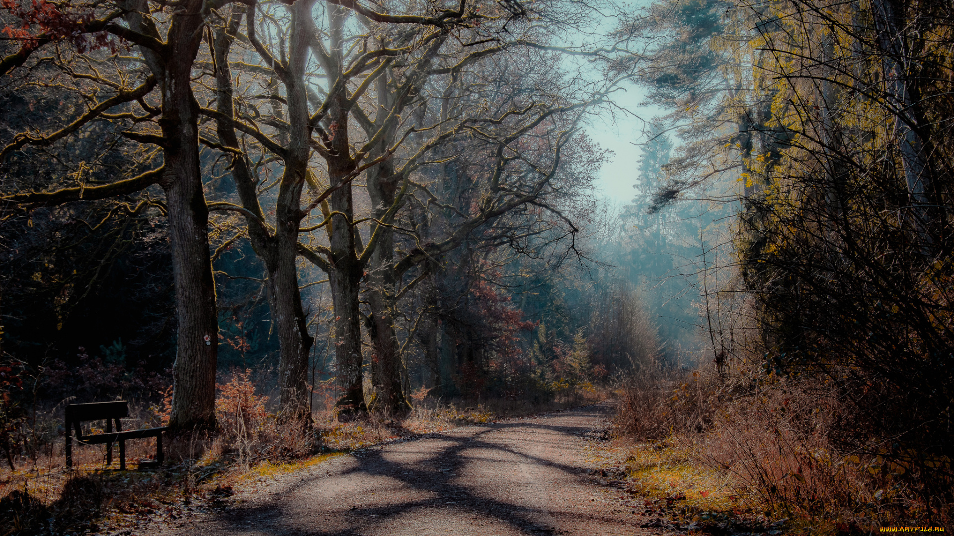 природа, дороги, простор