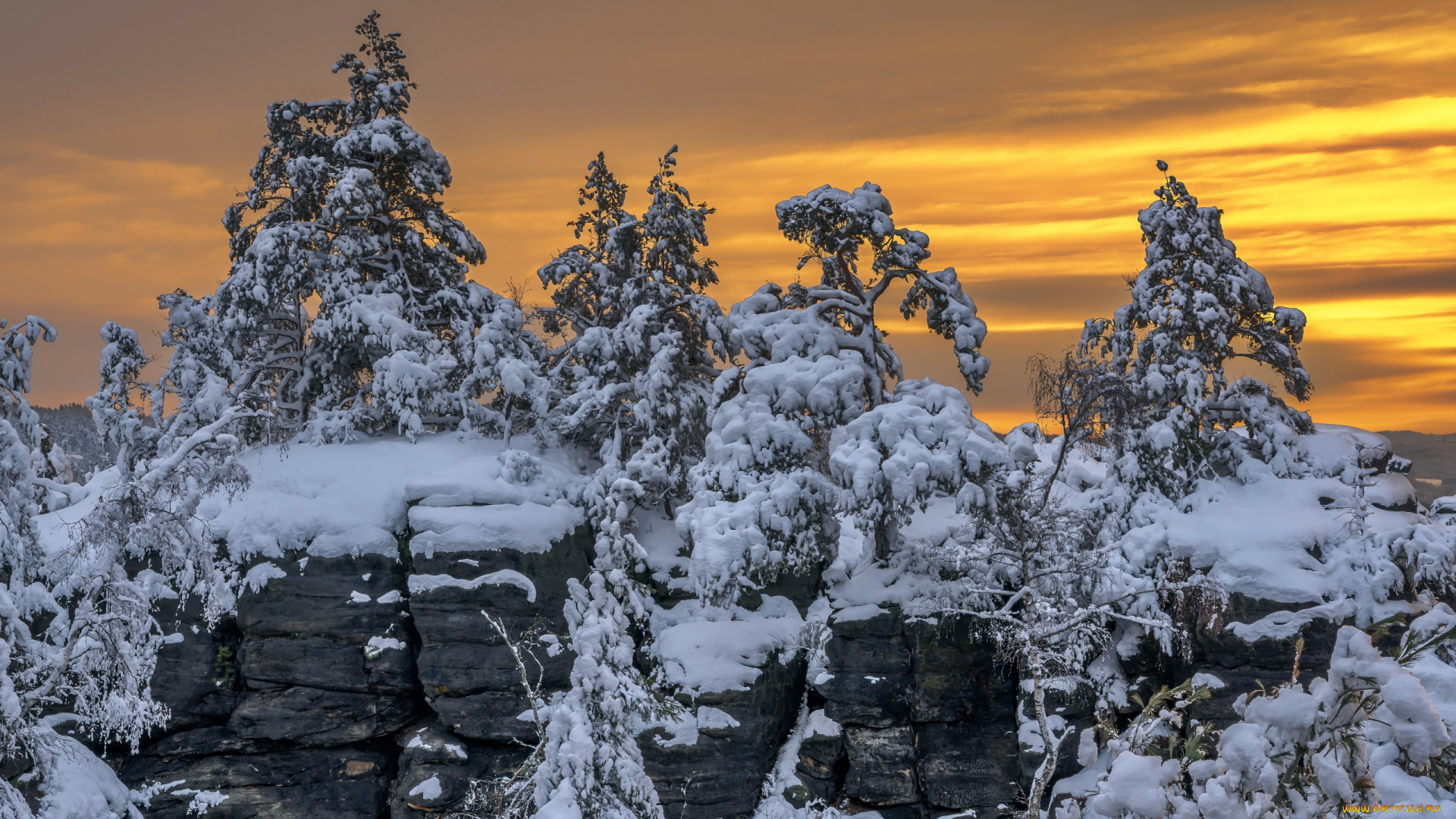 природа, горы, деревья, снег