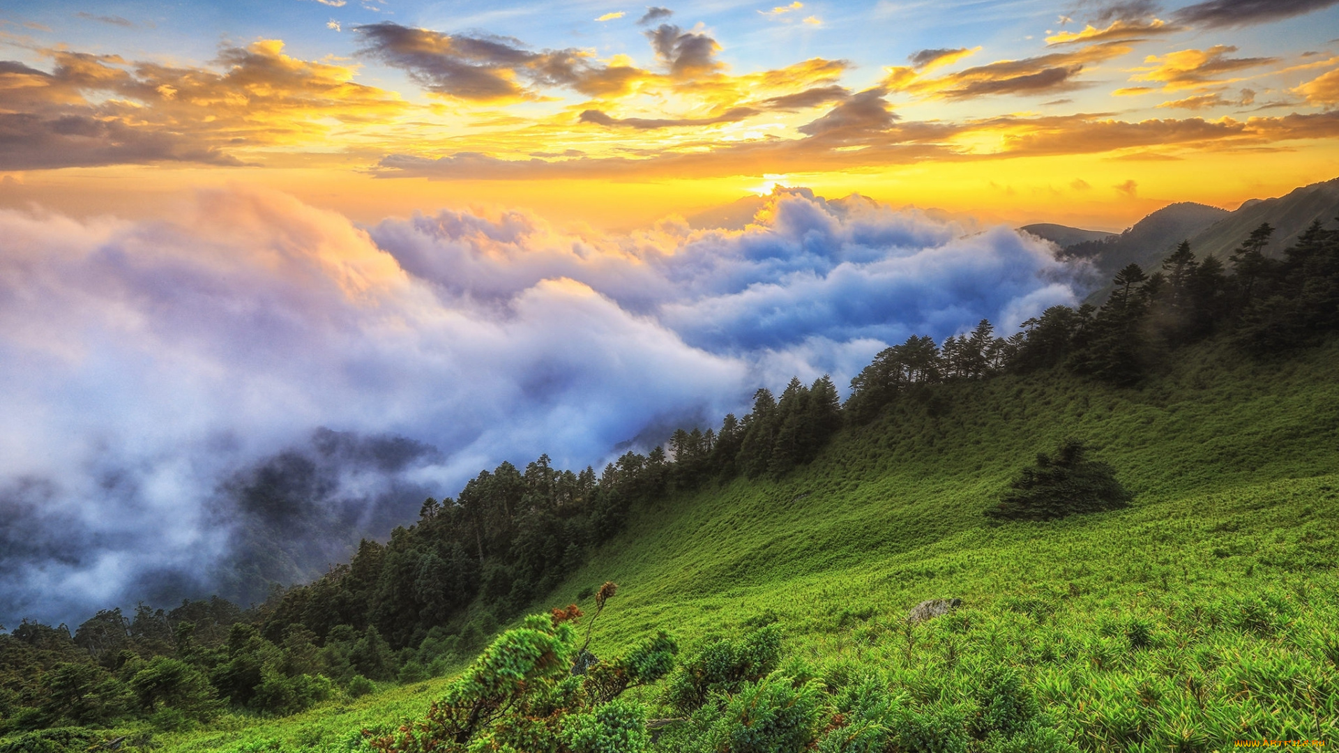 природа, пейзажи, простор