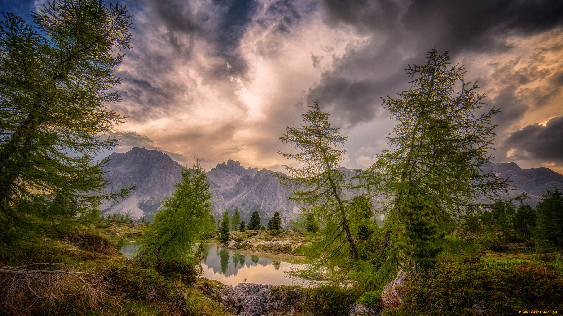 природа, пейзажи, простор