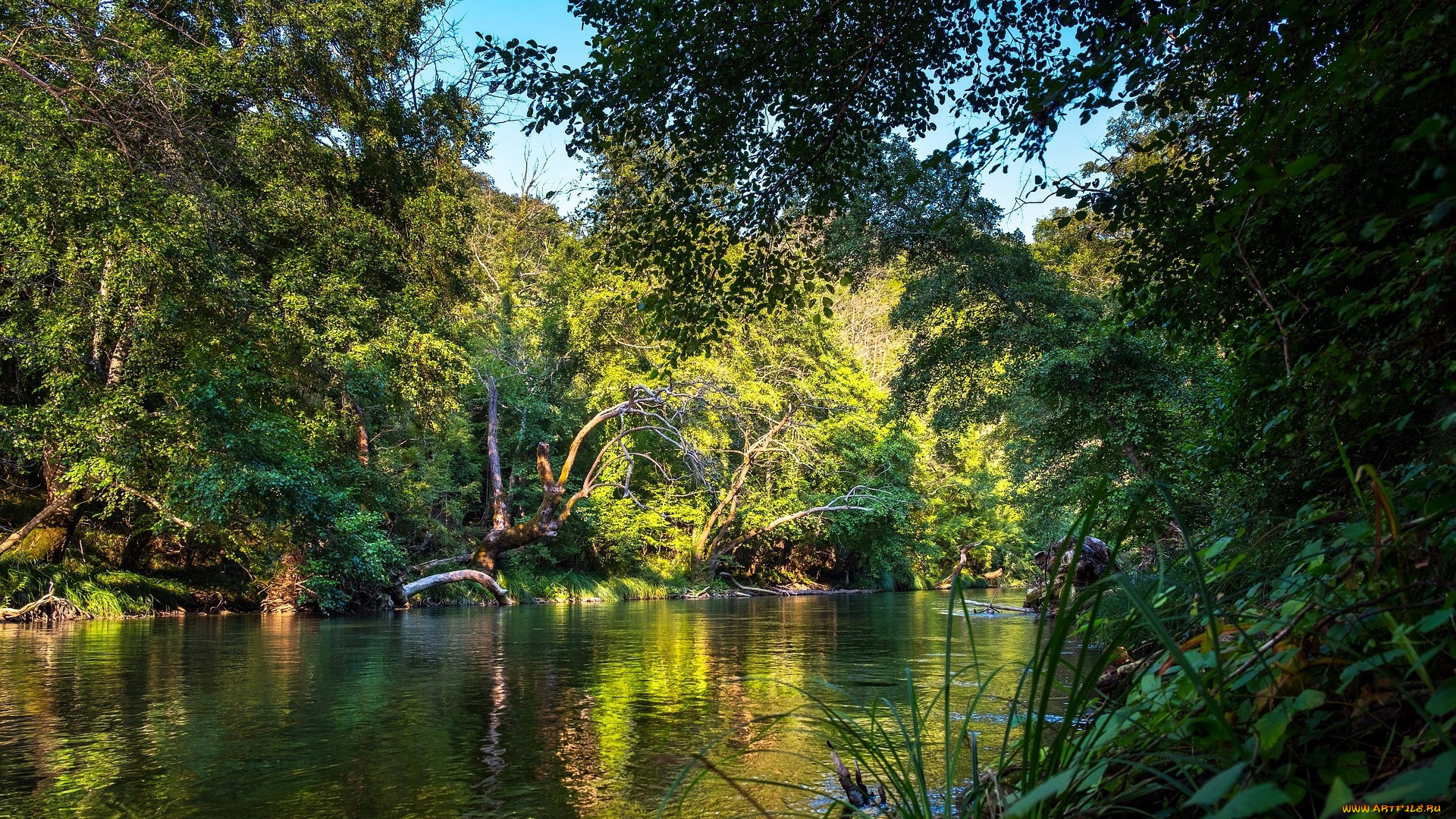 природа, реки, озера, отражение, река