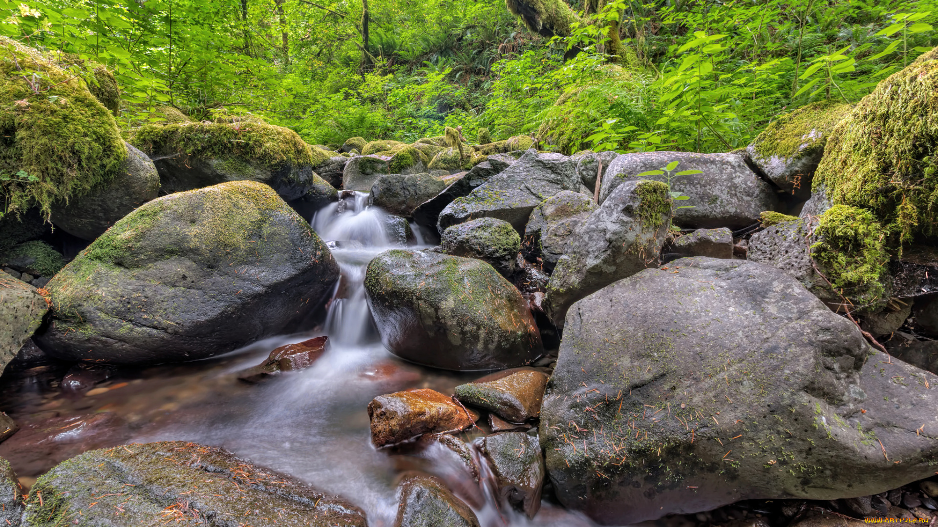 природа, реки, озера, поток, лес, камни