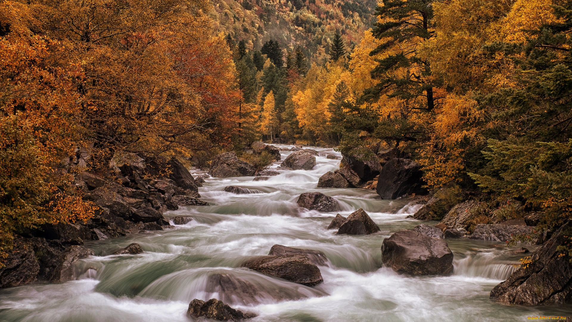 природа, реки, озера, простор