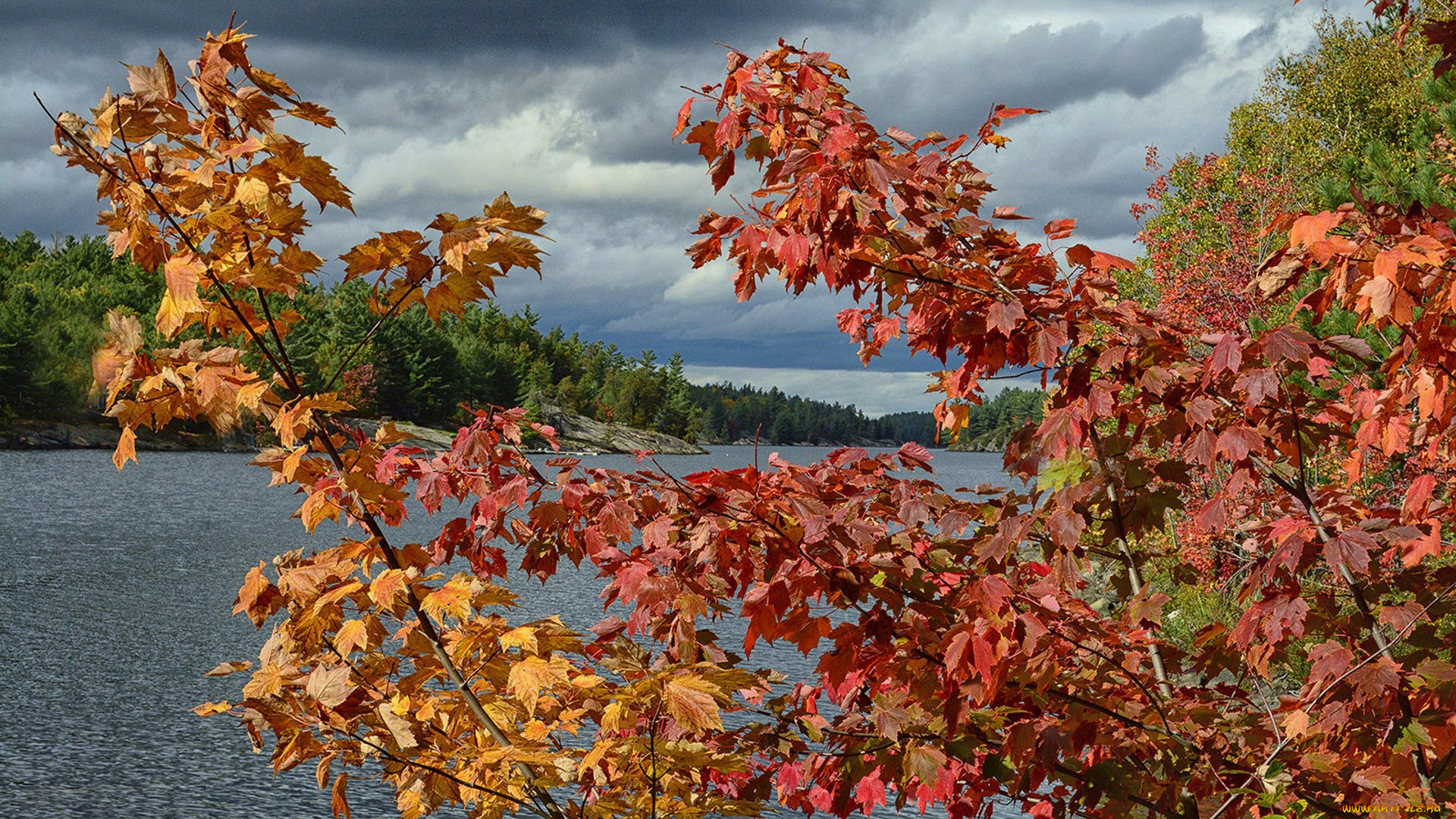 природа, реки, озера, простор