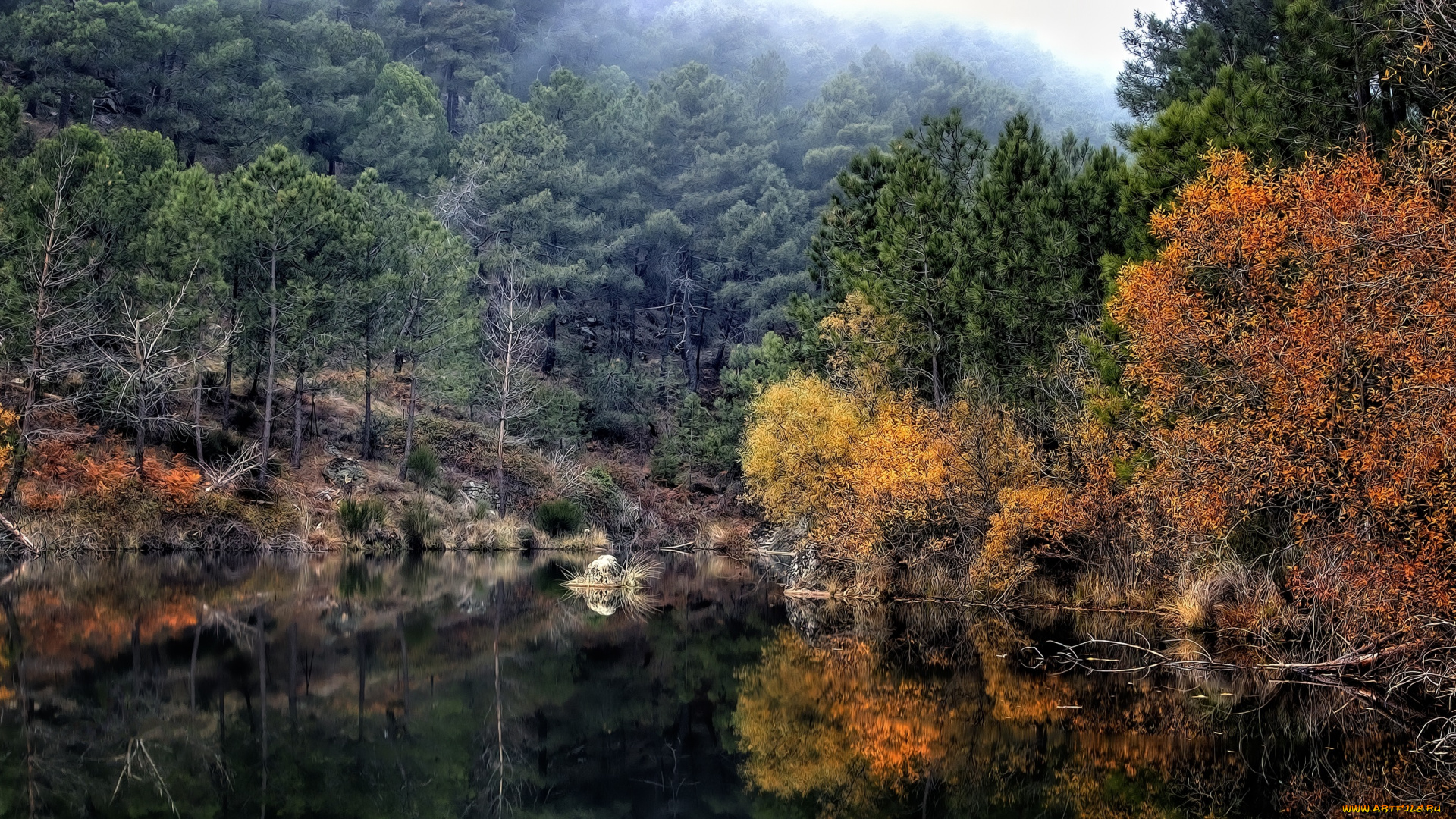 природа, реки, озера, простор