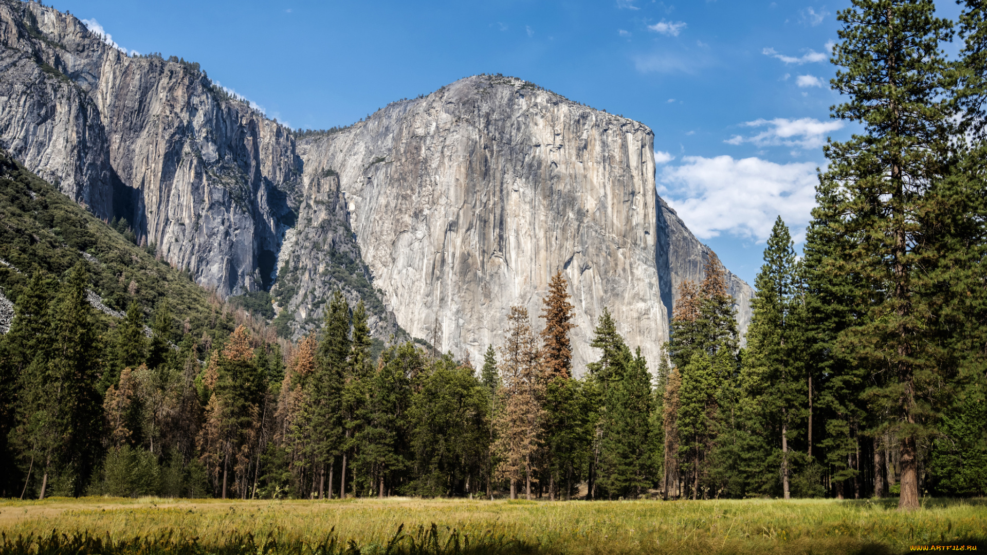 природа, реки, озера, простор