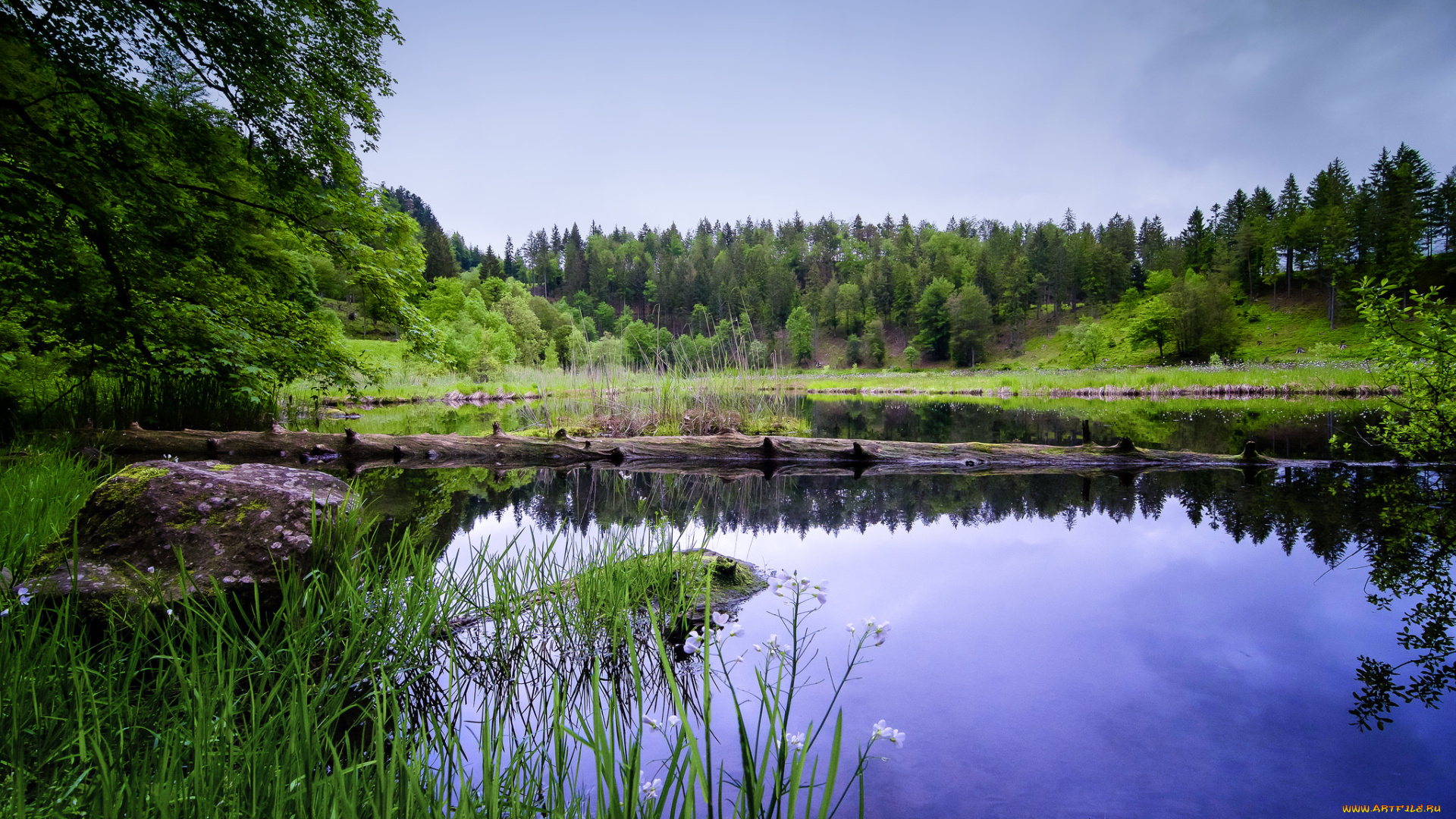 природа, реки, озера, простор