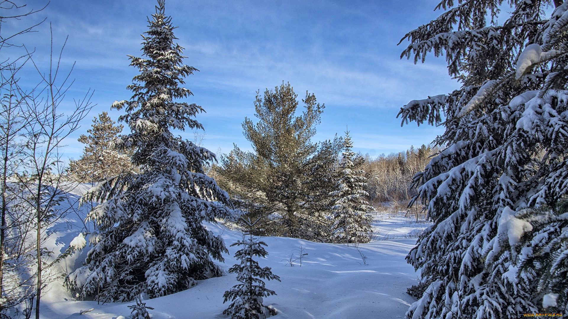 природа, зима, простор