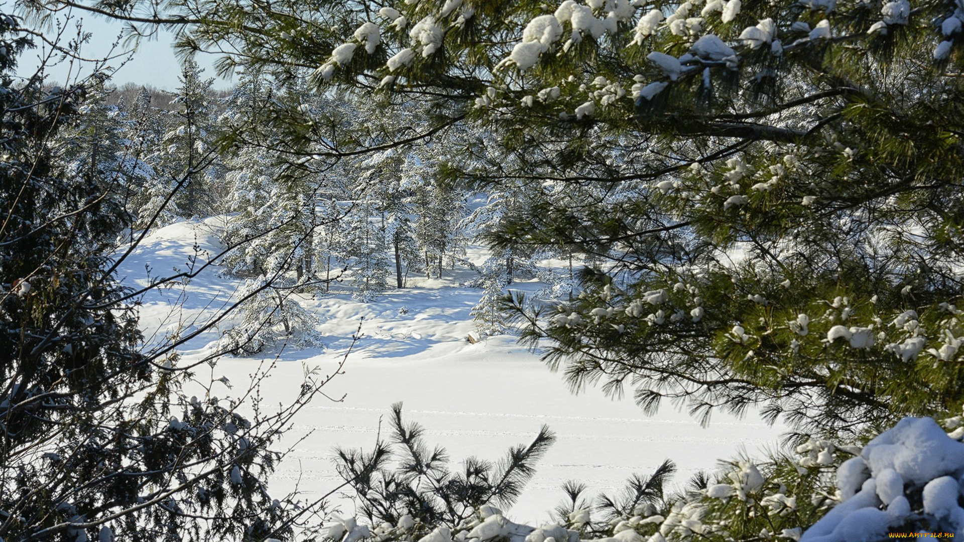 природа, зима, простор