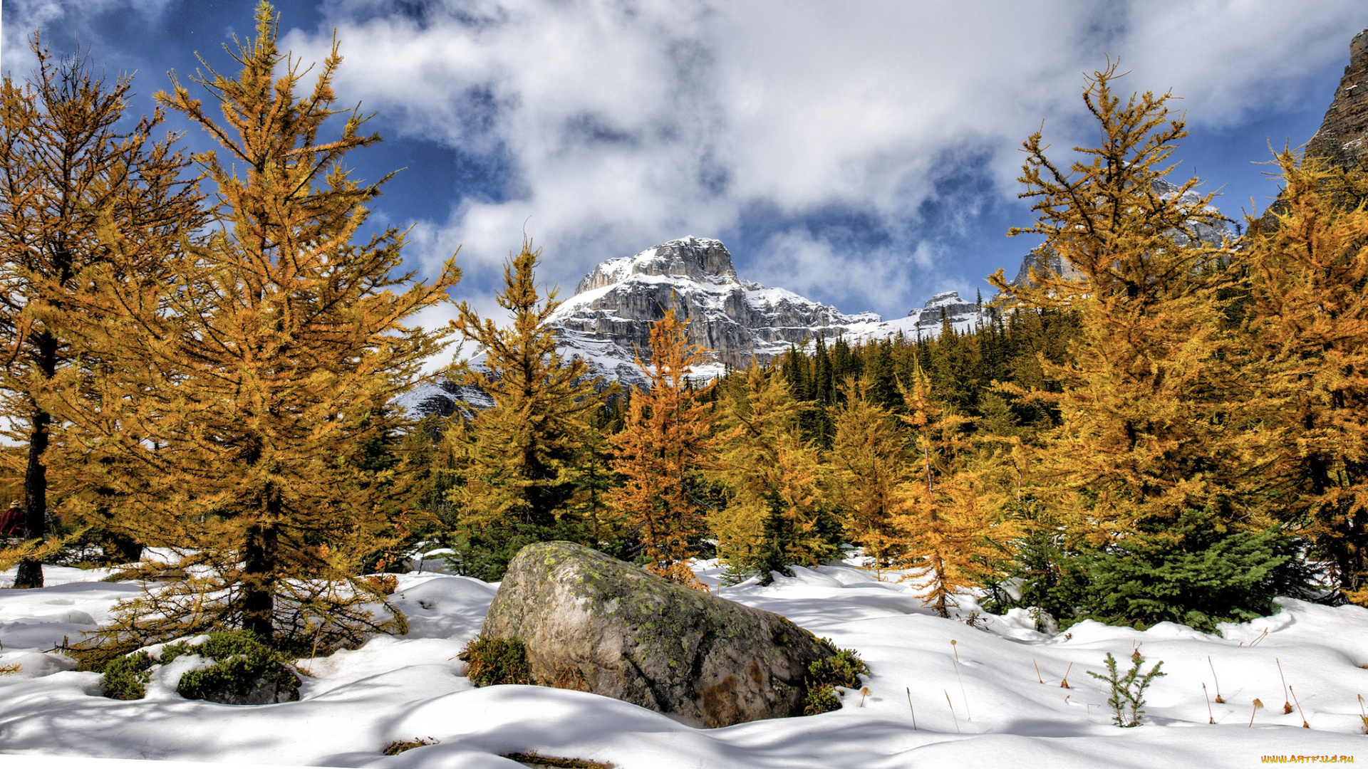 природа, зима, простор