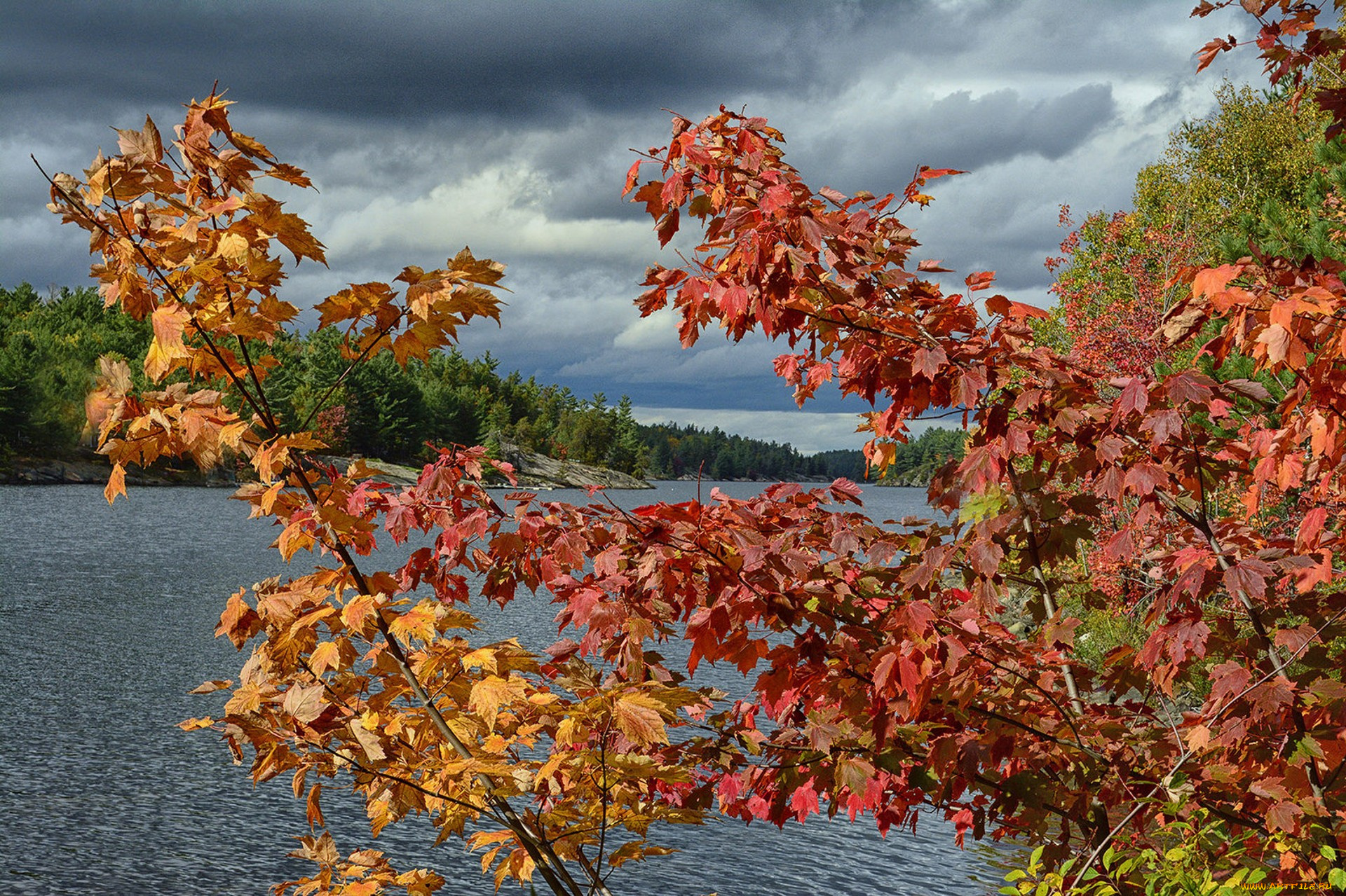 природа, реки, озера, простор
