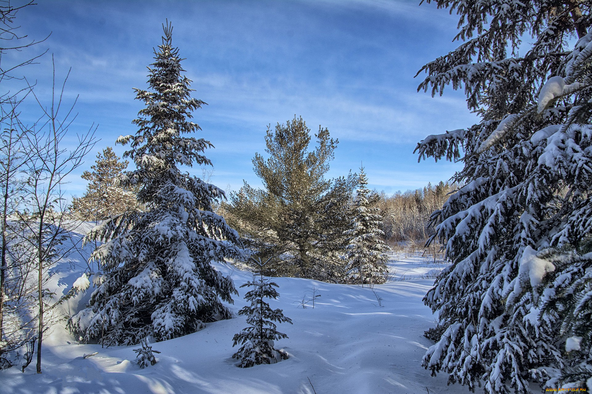 природа, зима, простор