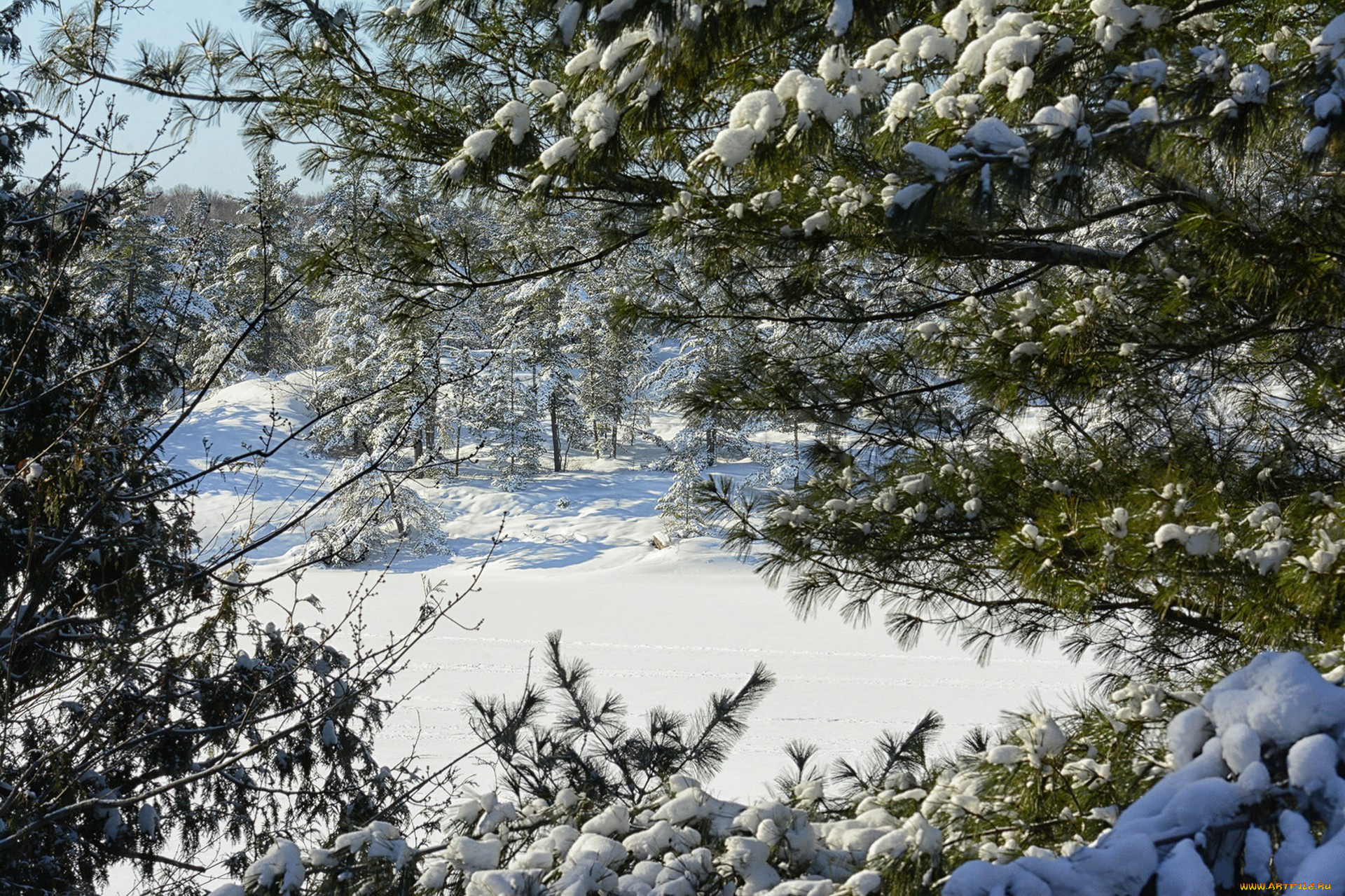 природа, зима, простор