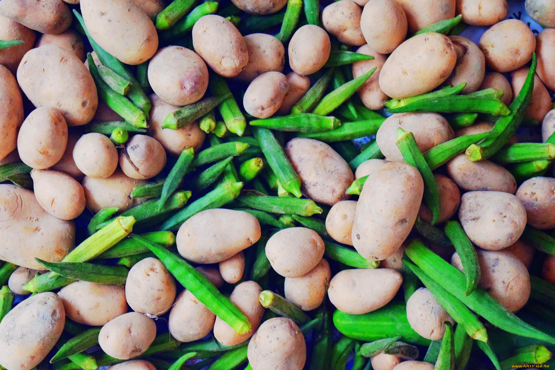 еда, овощи, картофель, бамия