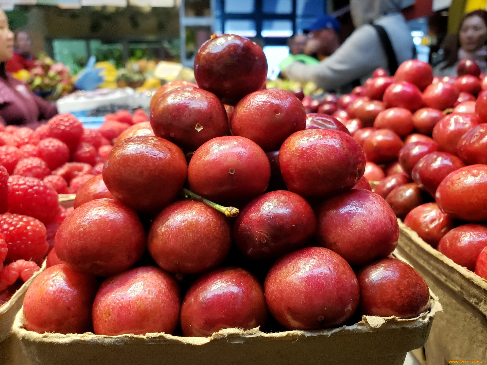 еда, вишня, , черешня