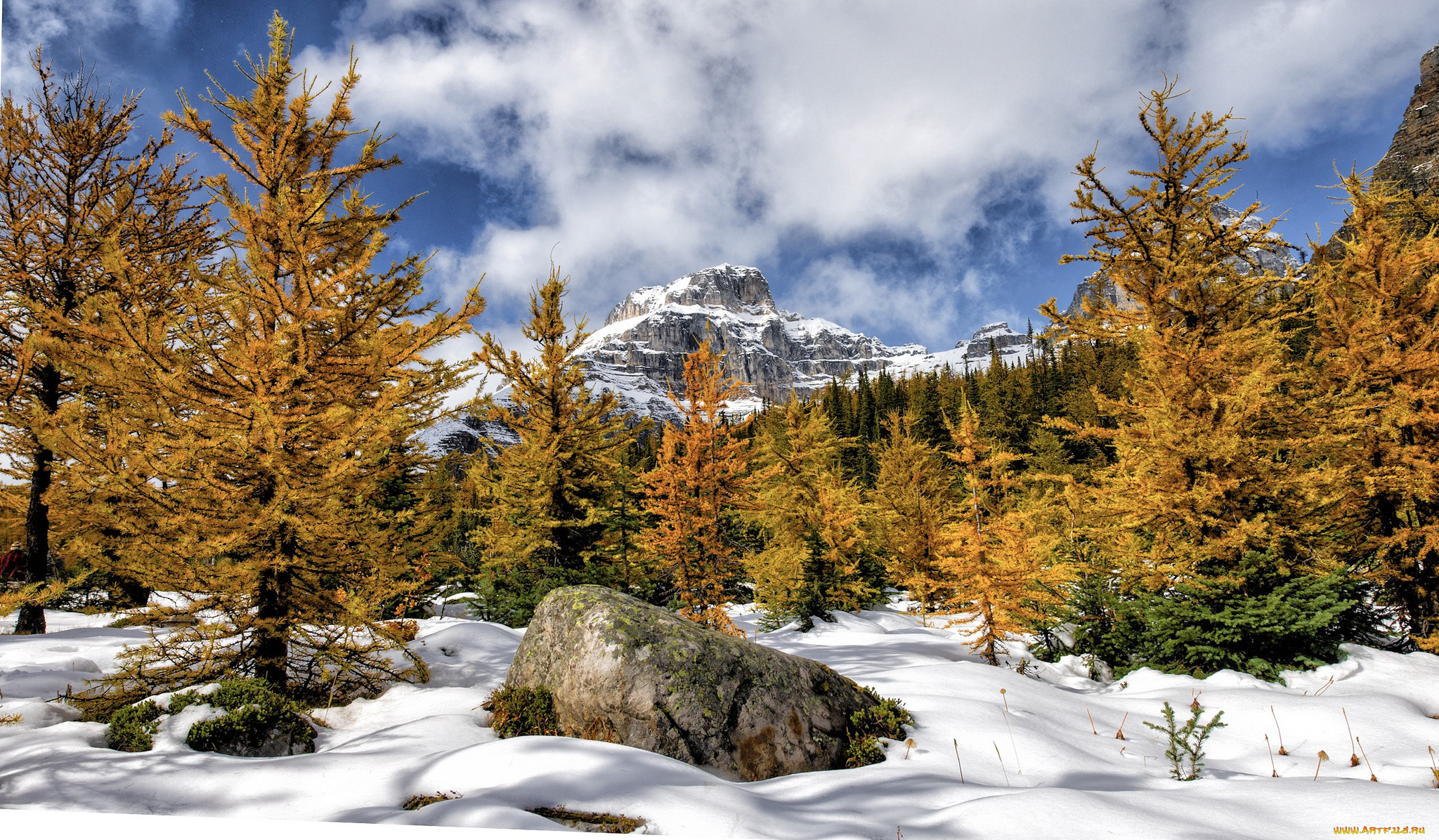 природа, зима, простор