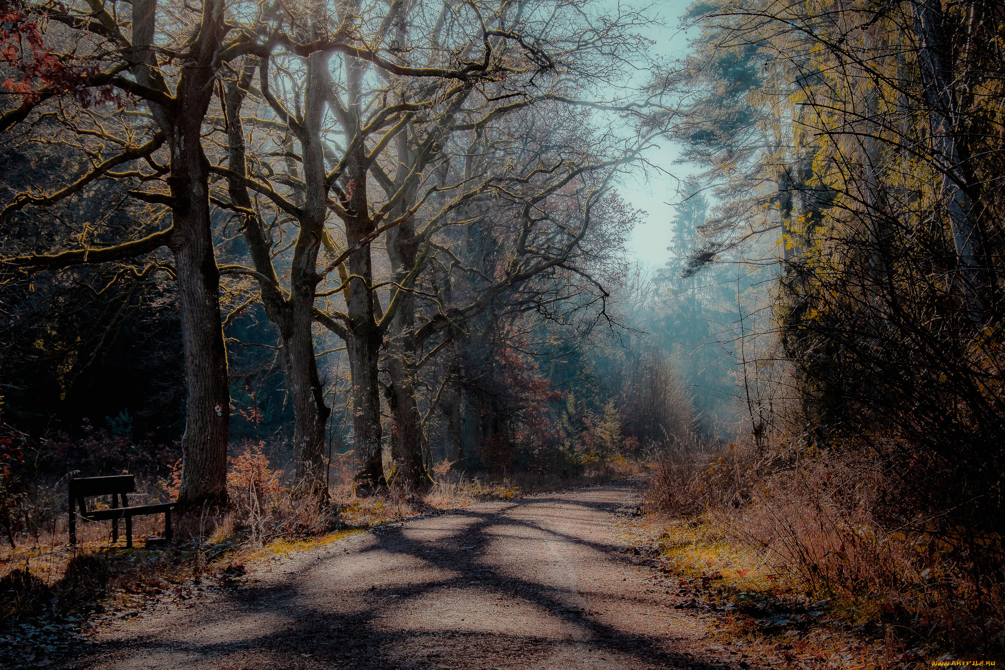 природа, дороги, простор