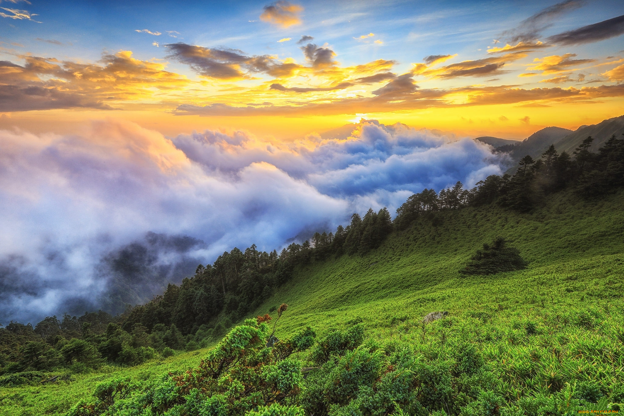 природа, пейзажи, простор