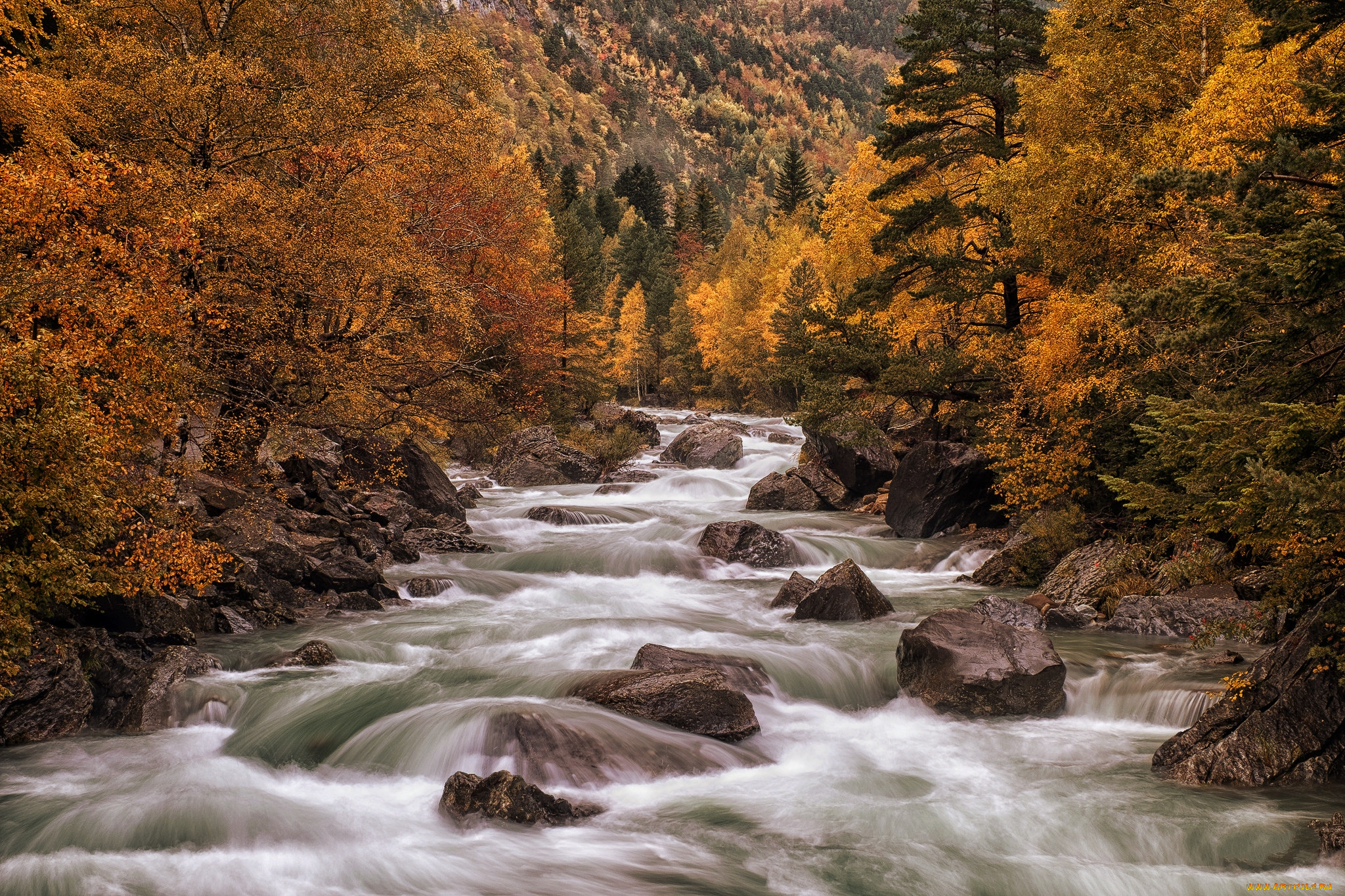 природа, реки, озера, простор