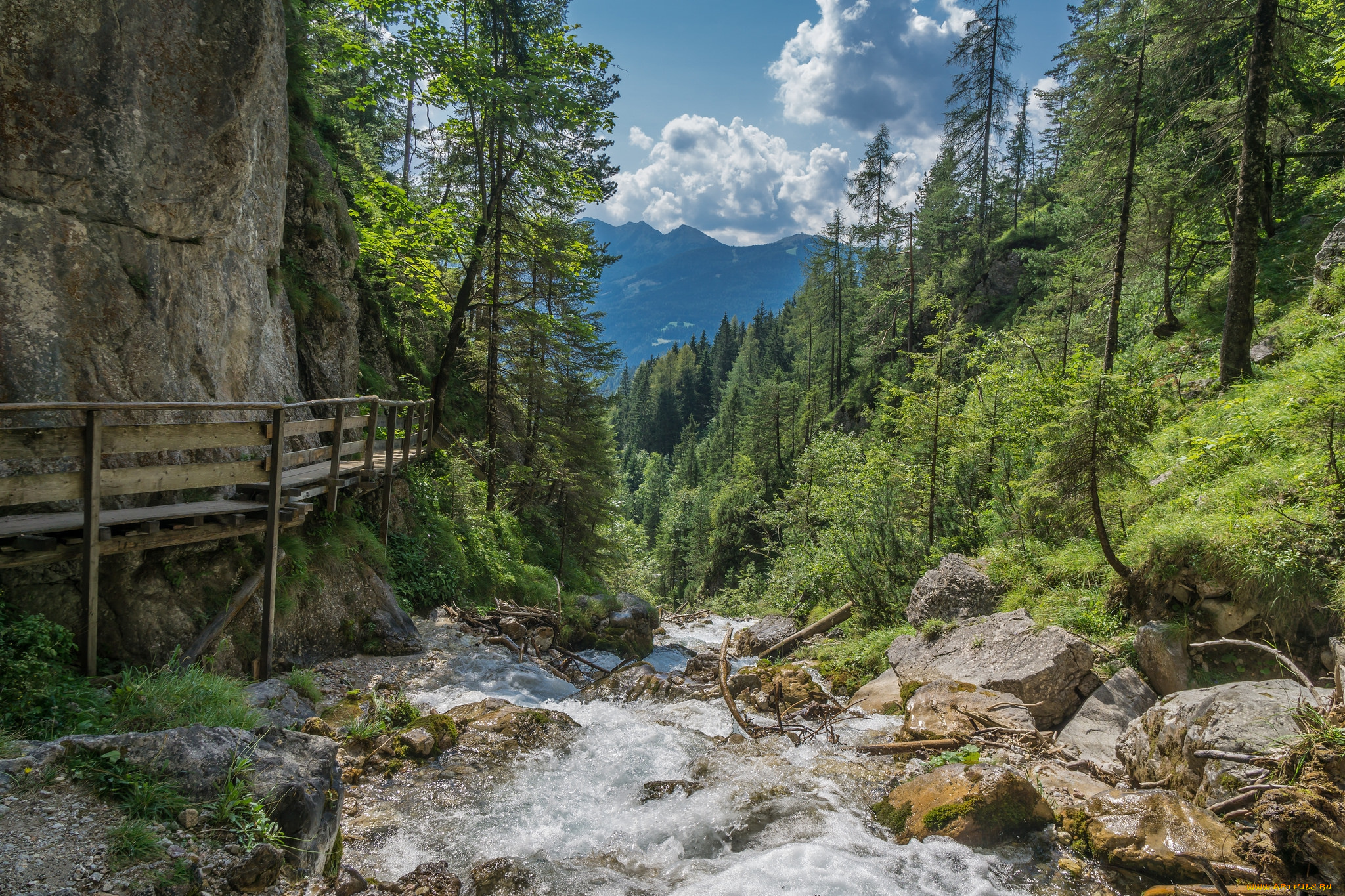 природа, реки, озера, простор