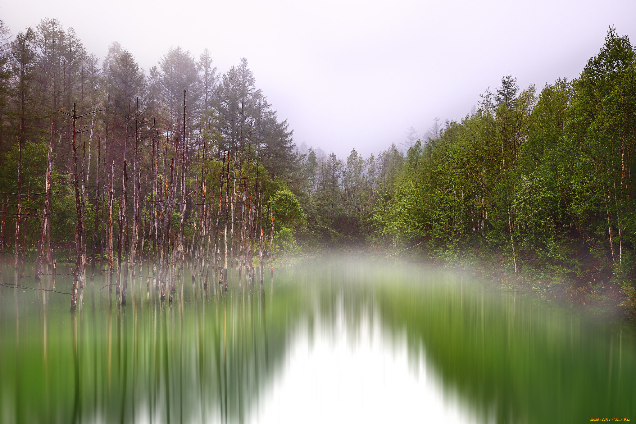 природа, реки, озера, простор