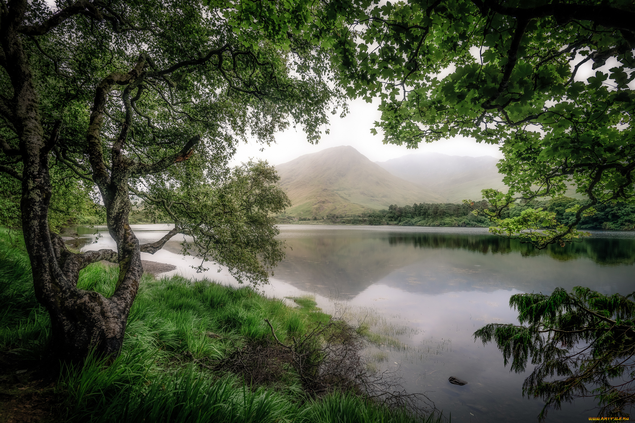 природа, реки, озера, простор