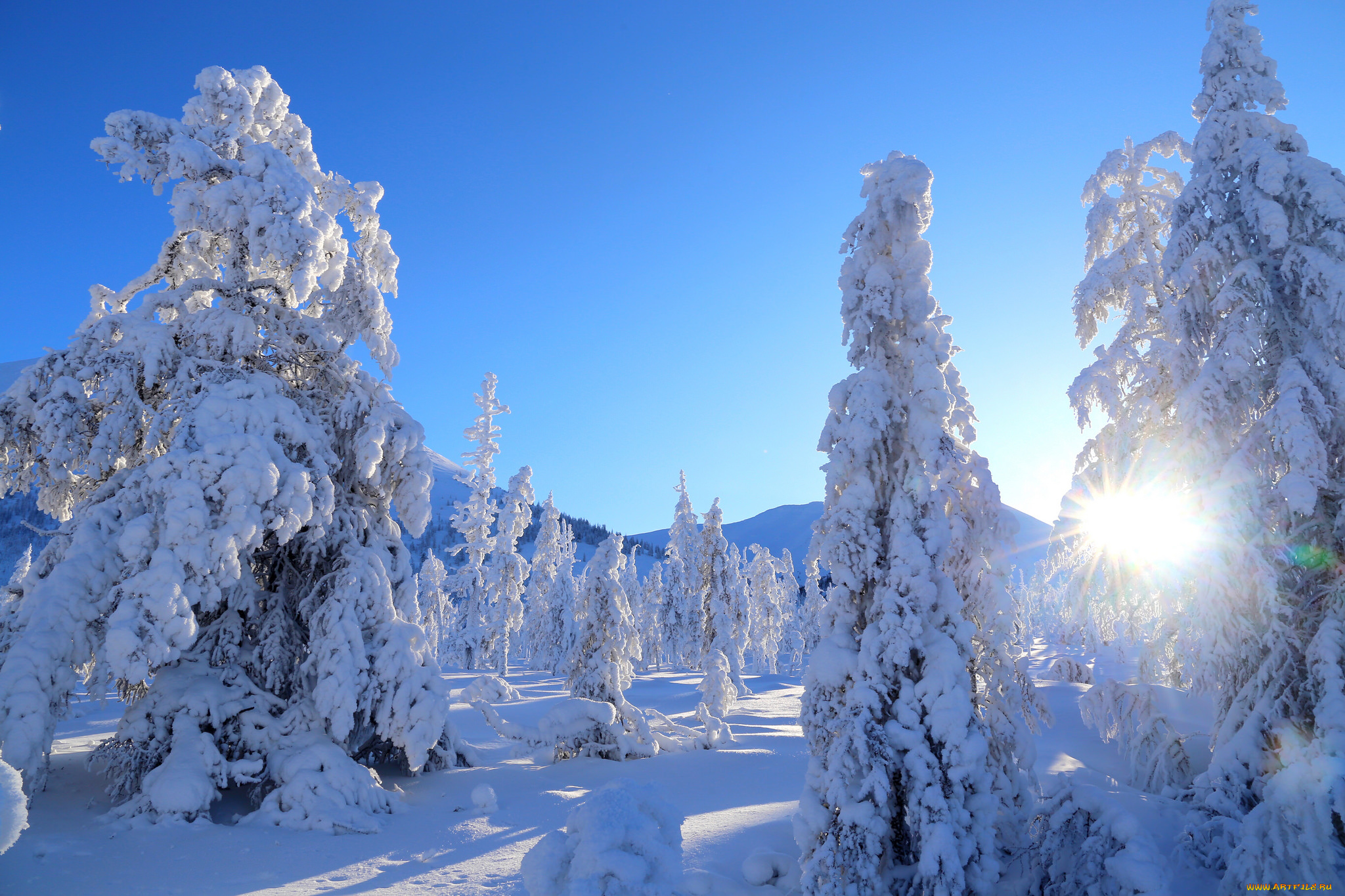 природа, зима, простор