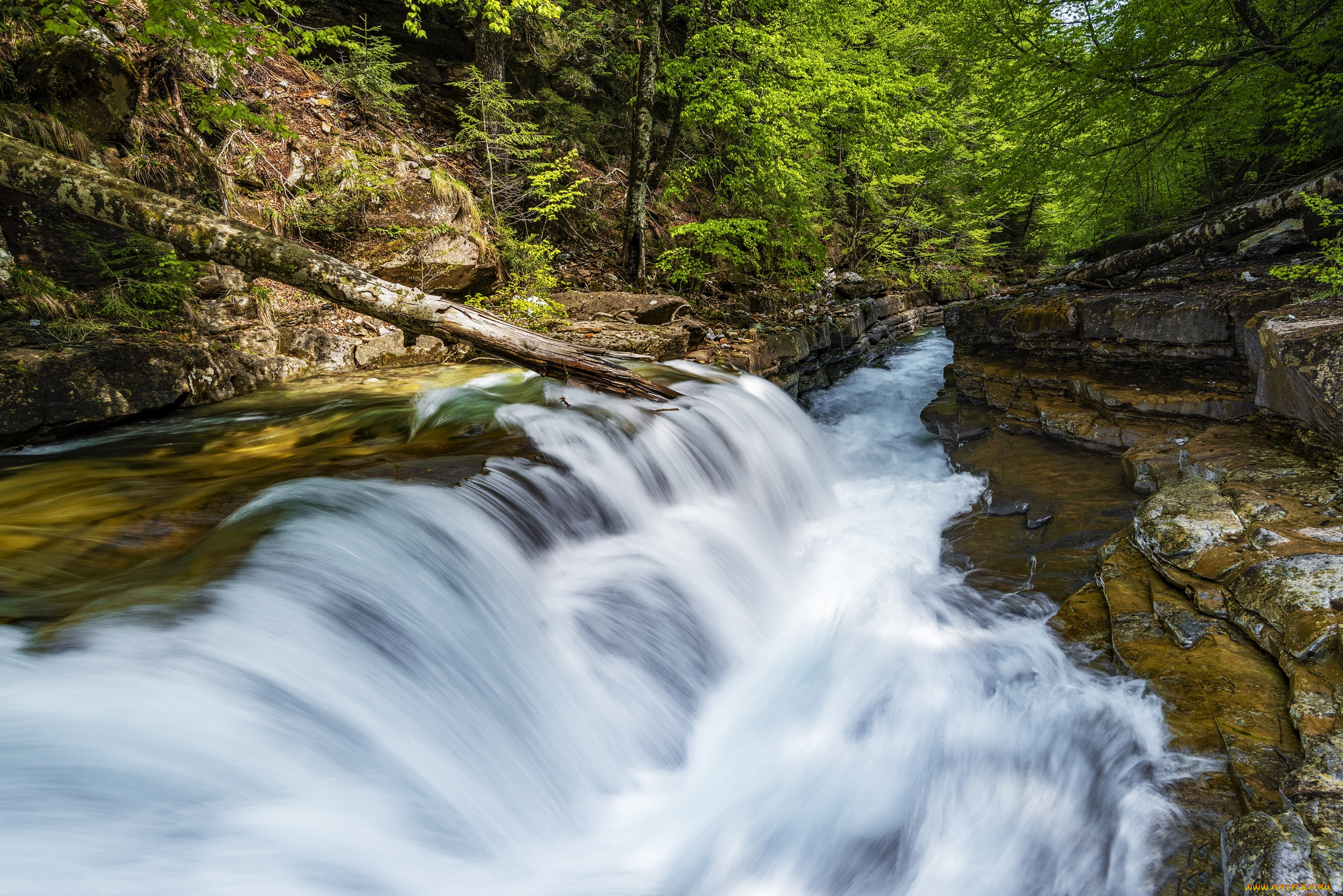 природа, реки, озера, простор