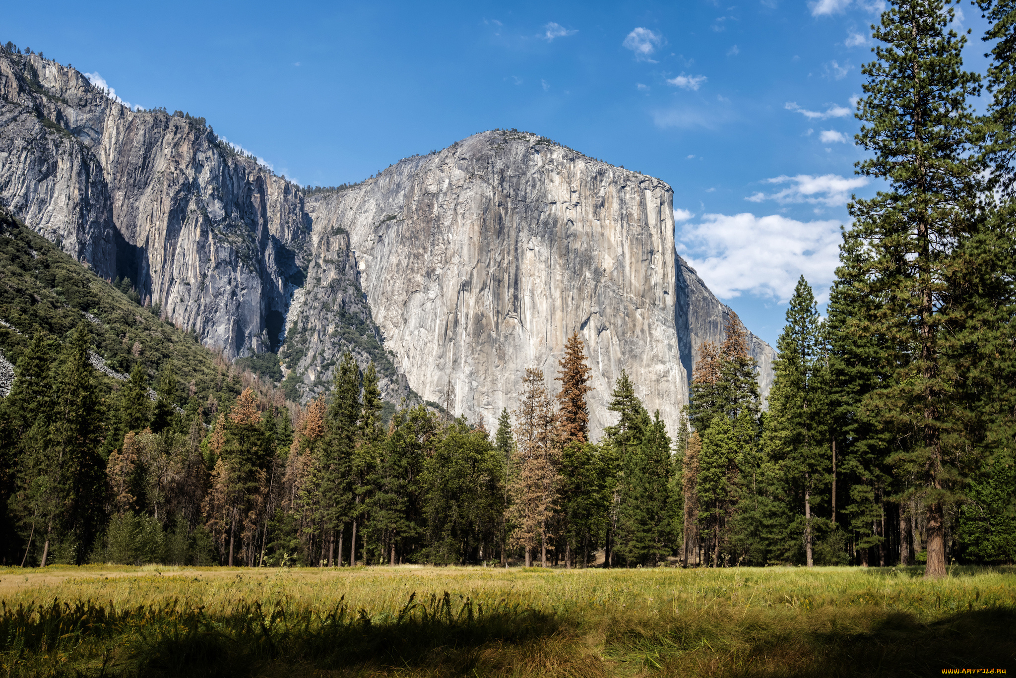 природа, реки, озера, простор