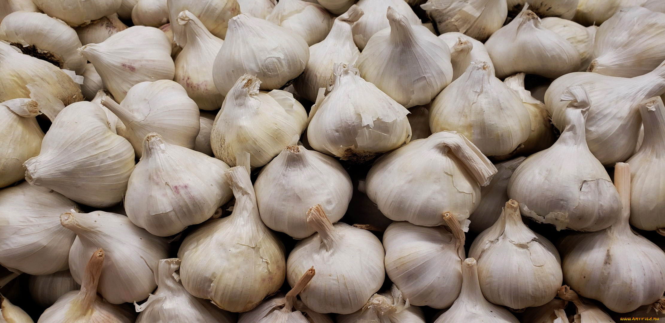 еда, чеснок