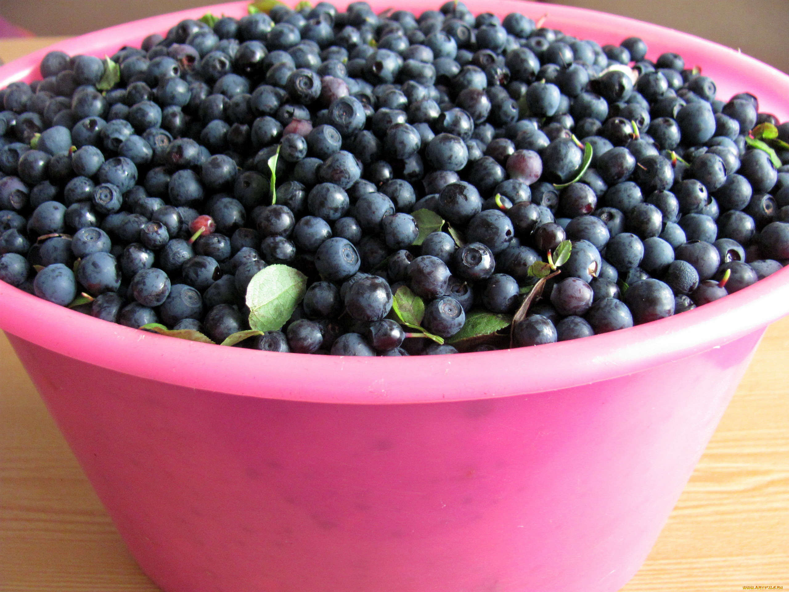 еда, голубика, , черника, черника