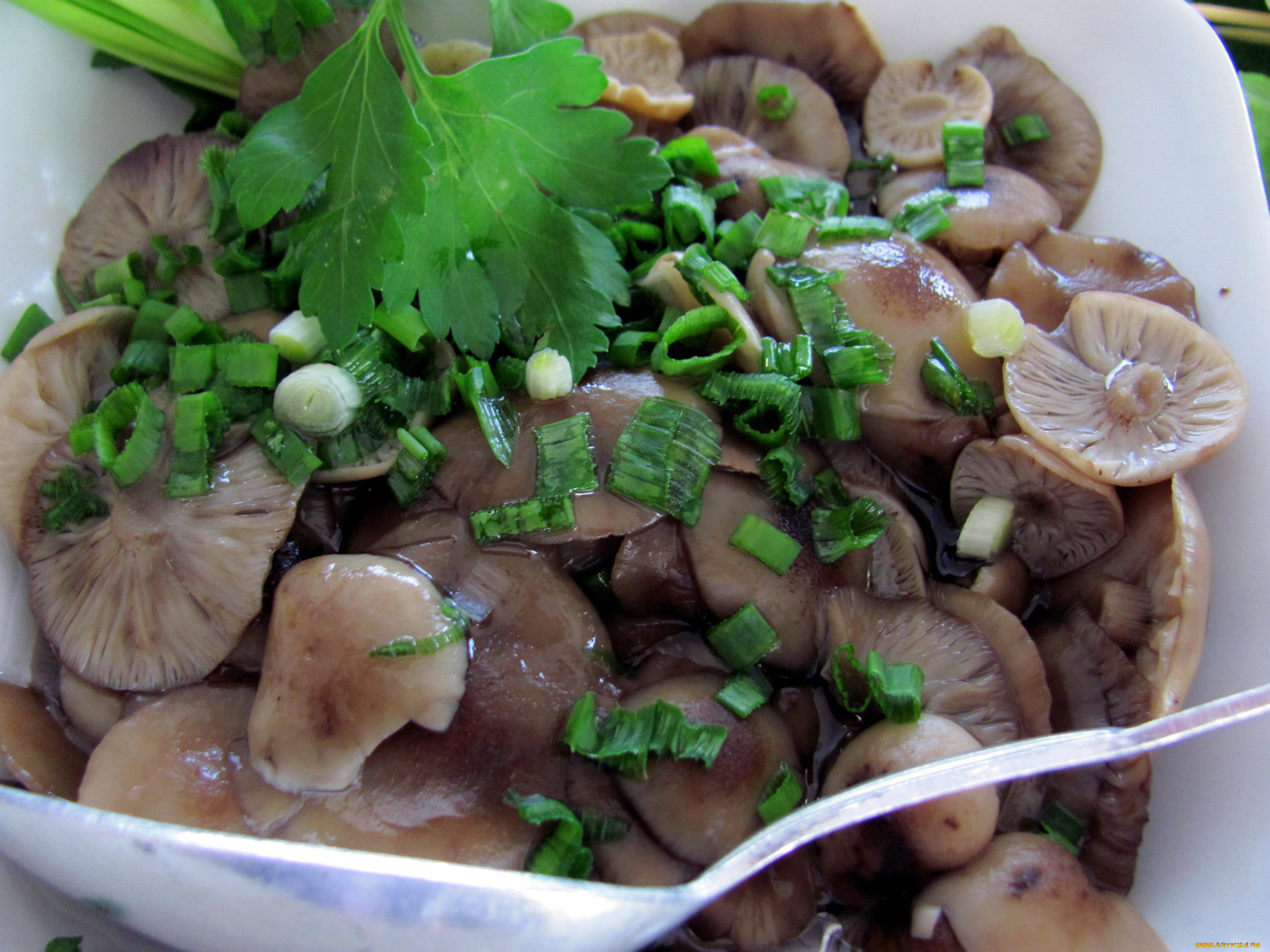 еда, грибы, , грибные, блюда, опята, маринованные