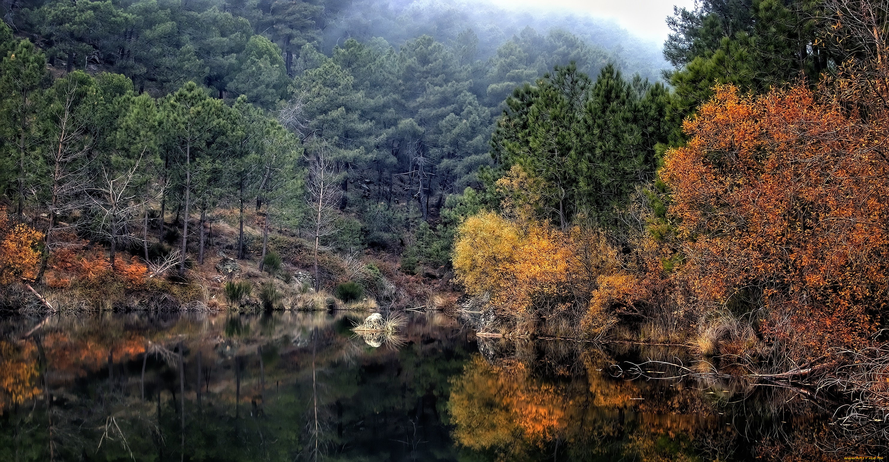 природа, реки, озера, простор