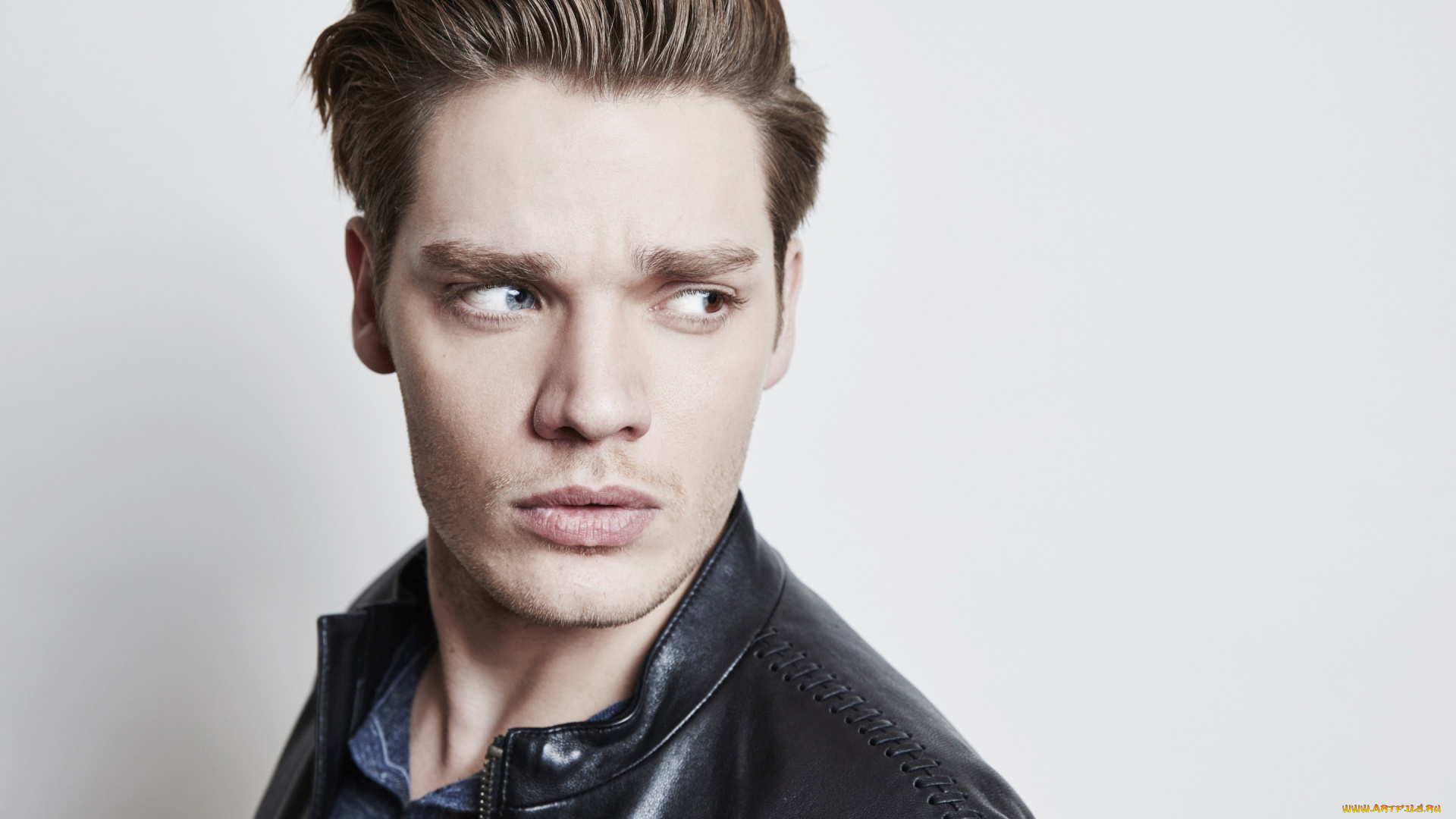 dominic, sherwood, мужчины, -, unsort, dominic, sherwood