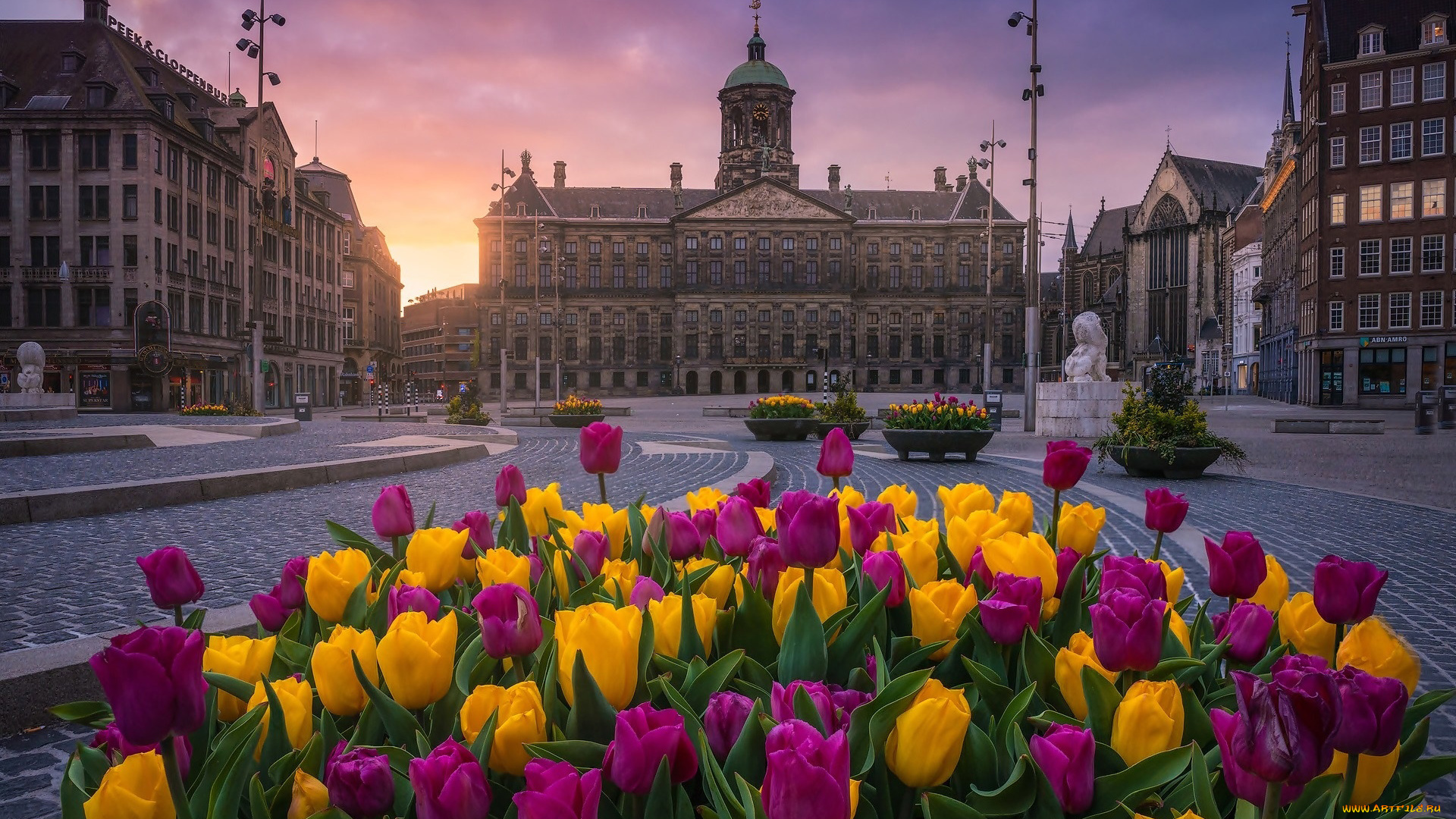 города, амстердам, , нидерланды, площадь, цветы, тюльпаны