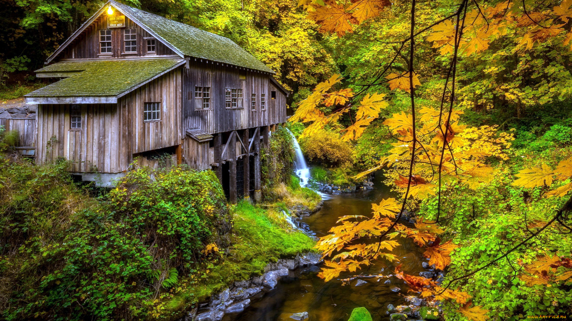 разное, мельницы, река, деревянная, мельница, осень, деревья